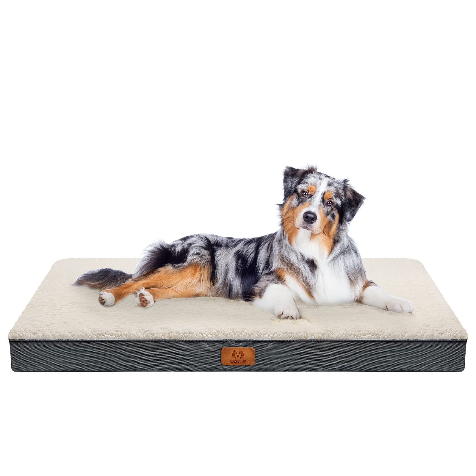 CozyLux Dog Beds for Large Dogs  Large Dog Bed for 65 lbs, EggCrate Foam Cat Bed Mat, Removable Washable Cover, Grey 35 X 22 X