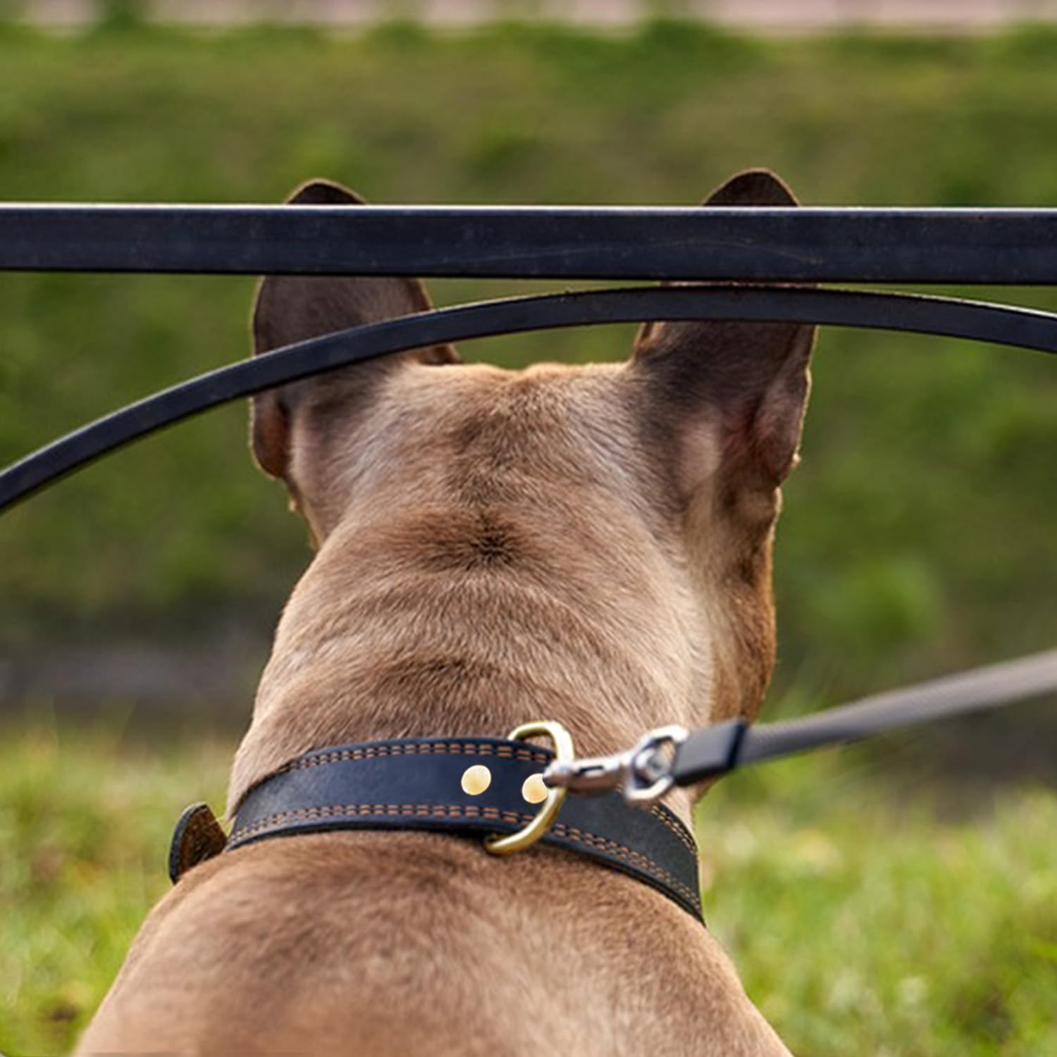 Lwbmg Leather Dog Collar,Heavy Duty Dog Collar,Soft And Strong Leather Adjustable Dog Collar For Small Medium Dogs Black Medium