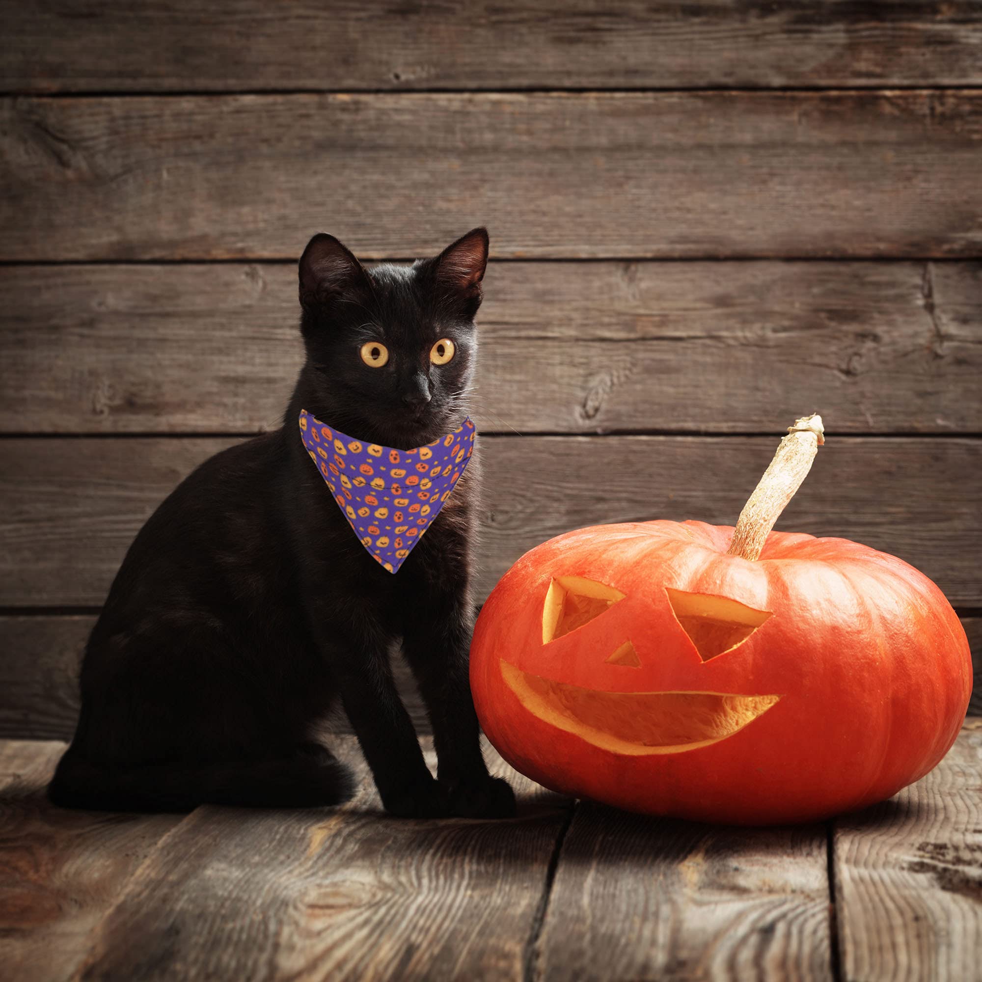 Adoggygo Halloween Cat Collars Breakaway With Bell, 2 Pack Adjustable Cat Collar With Removable Bandana, Pumpkin Pattern Cat Ban