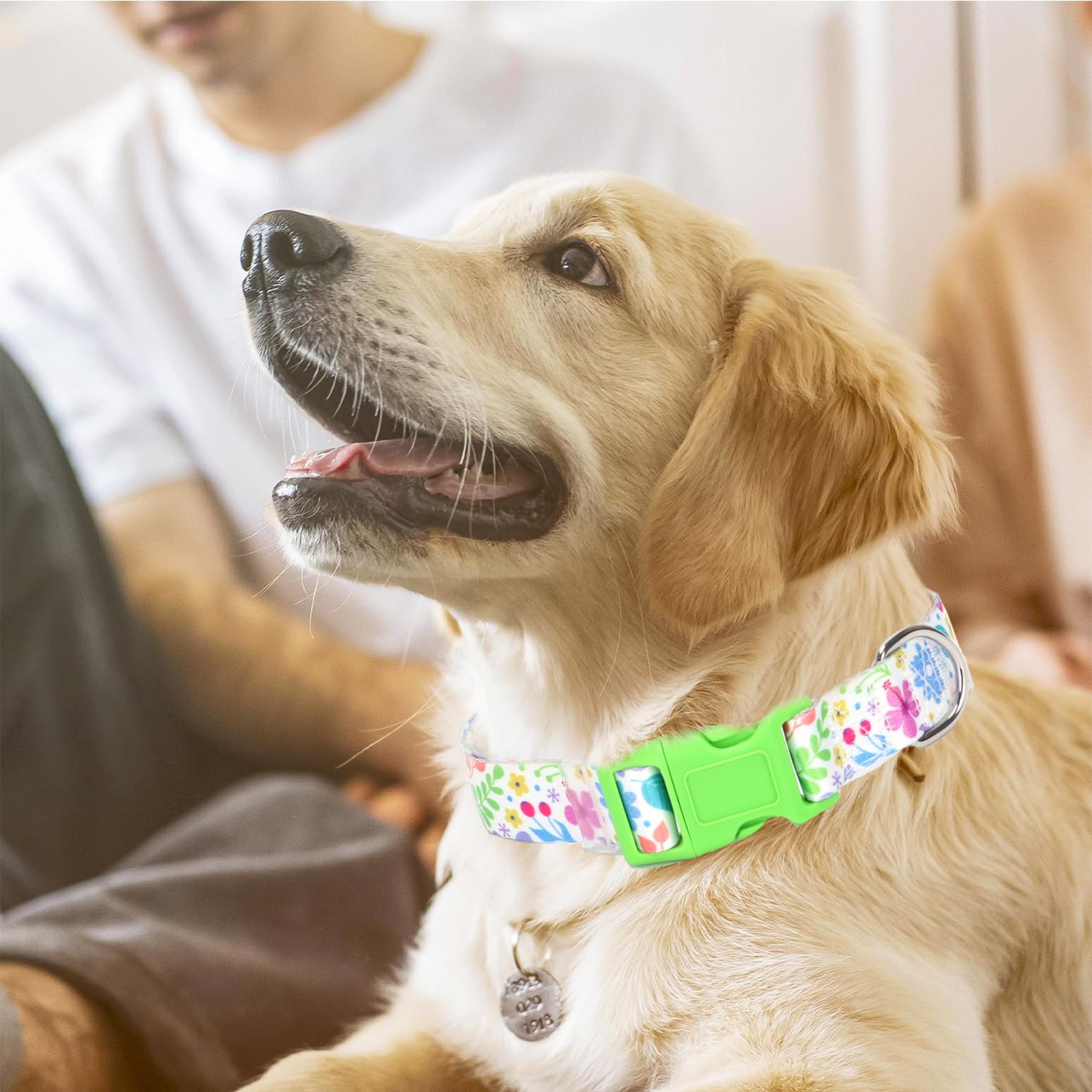 Dog Collar For Large Dogs With Flowers Patterns Summer Spring, Adjustable Comfy Pet Collar For Xs Small Medium Large Xl Dogs (Gr