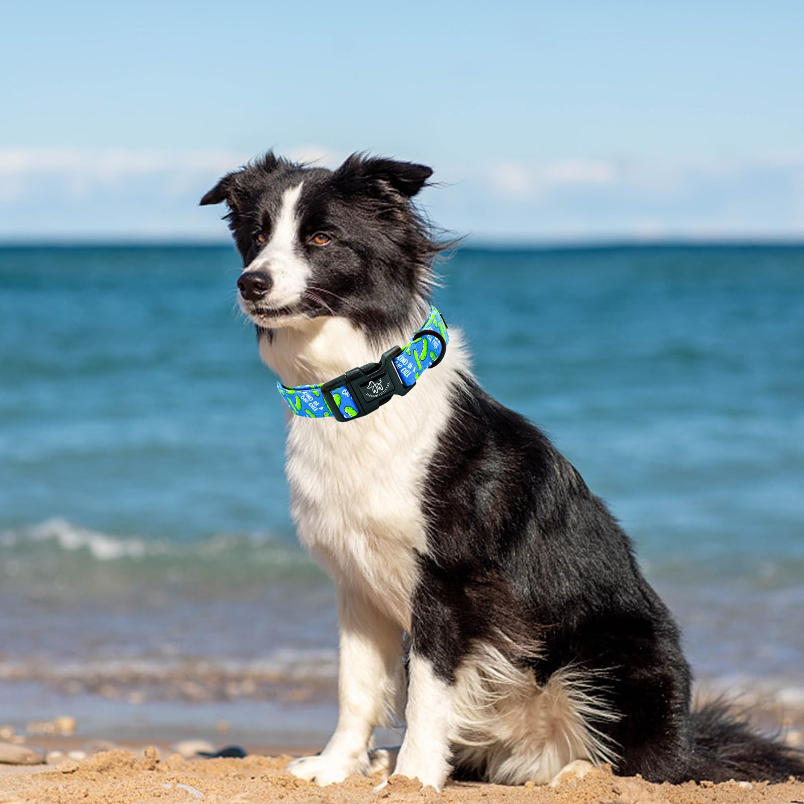 Elegant Little Tail Dog Collar, Pet Collar Blue Puppy Collar Plastic Durable Holiday Female Or Male Cotton Adjustable Pet Collar