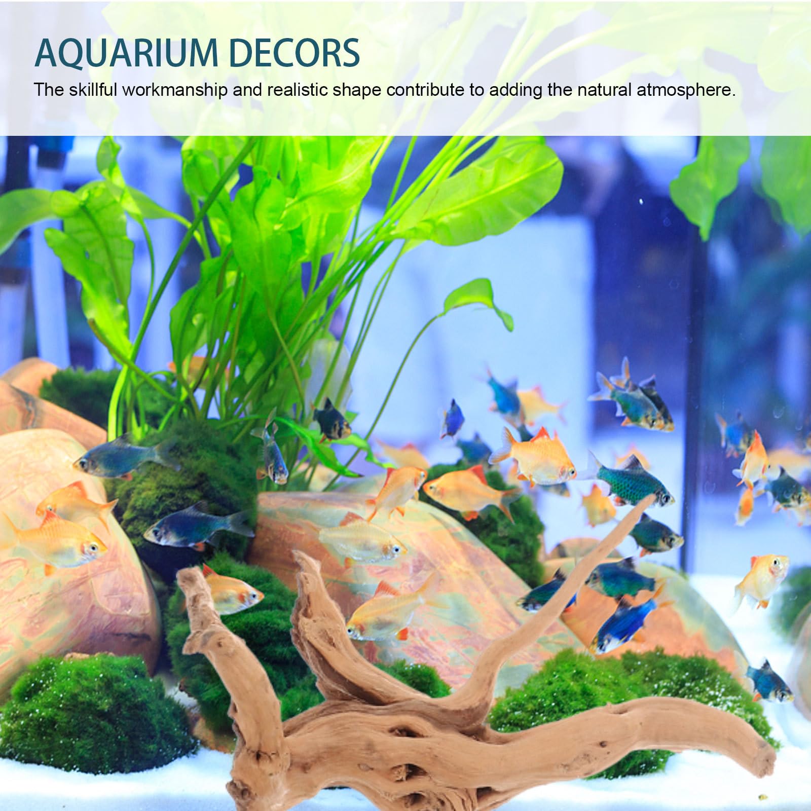 Mipcase 3 Pcs Driftwood for Aquarium, Spider Wood for Aquarium Aquarium Decorations Fish Tank Decorations Driftwood for Reptile