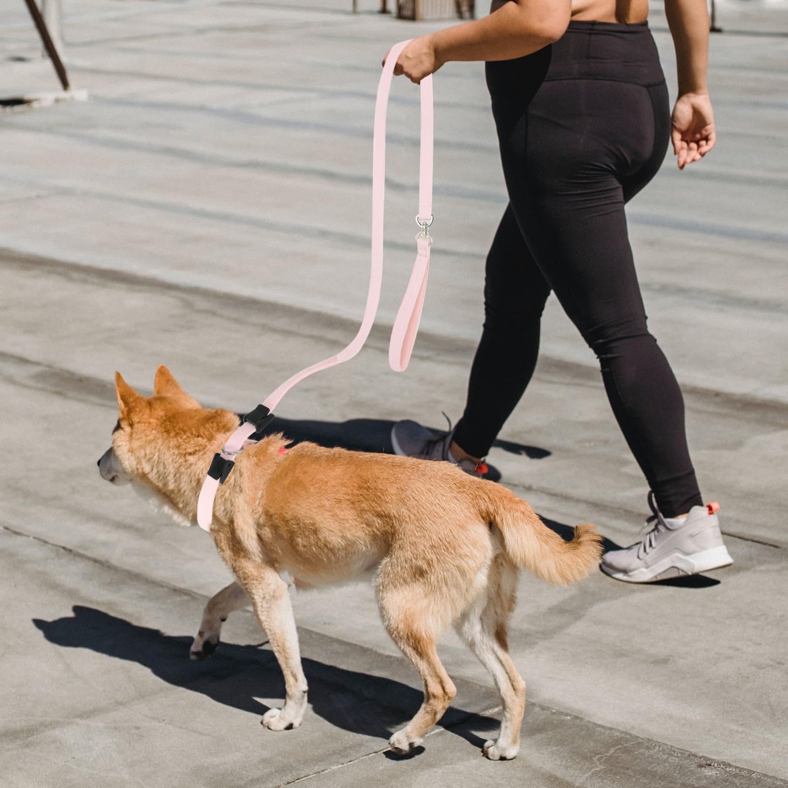 Ewinoom Slip Lead Dog Leash,Soft Corduroy 6 Ft Dog Training Leash For Medium Large Dogs,No Pull Slip Leash And Collar With Padde