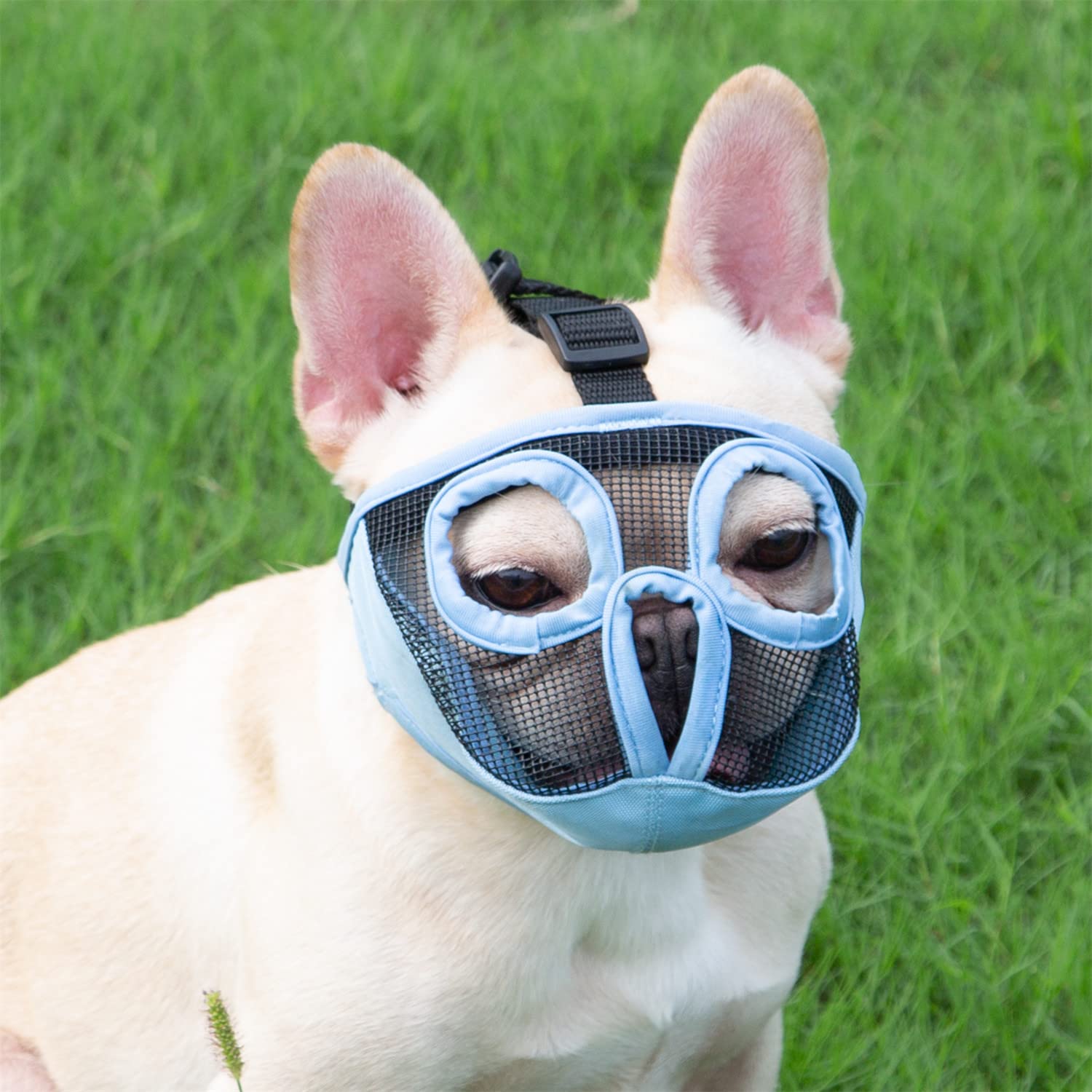 Jyhy Short Snout Dog Muzzles- Adjustable Breathable Mesh Bulldog Muzzle For Biting Chewing Training Grooming Dog Mask,Blue L