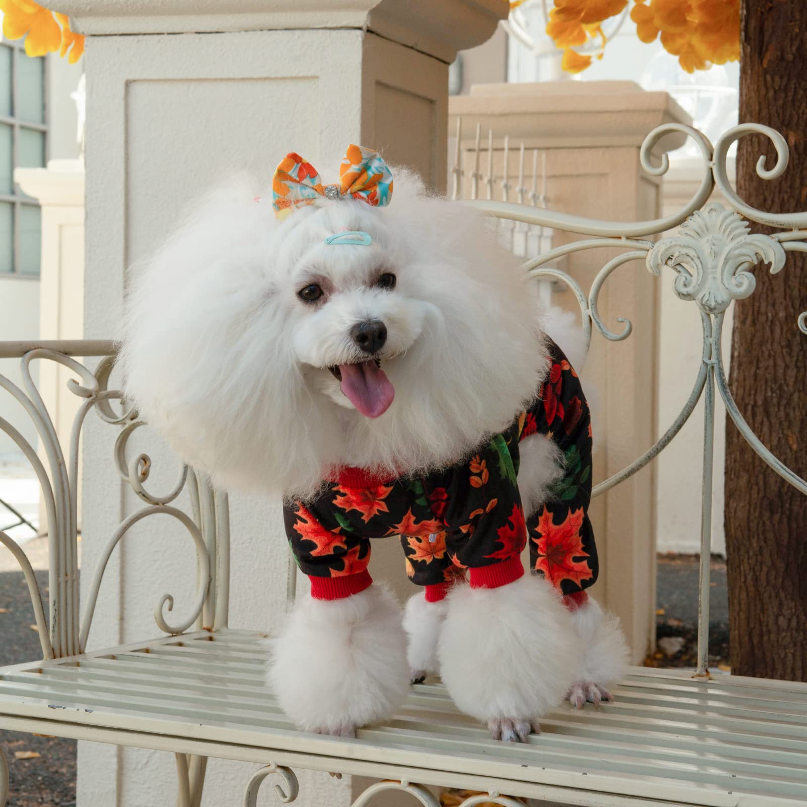 Cutebone Dog Halloween Pajamas Puppy Onesies Christmas Small Dogs Soft Pjs Coat Cat Apparel Comfy Pet Clothes Outfit Doggie Bodysuit P265M