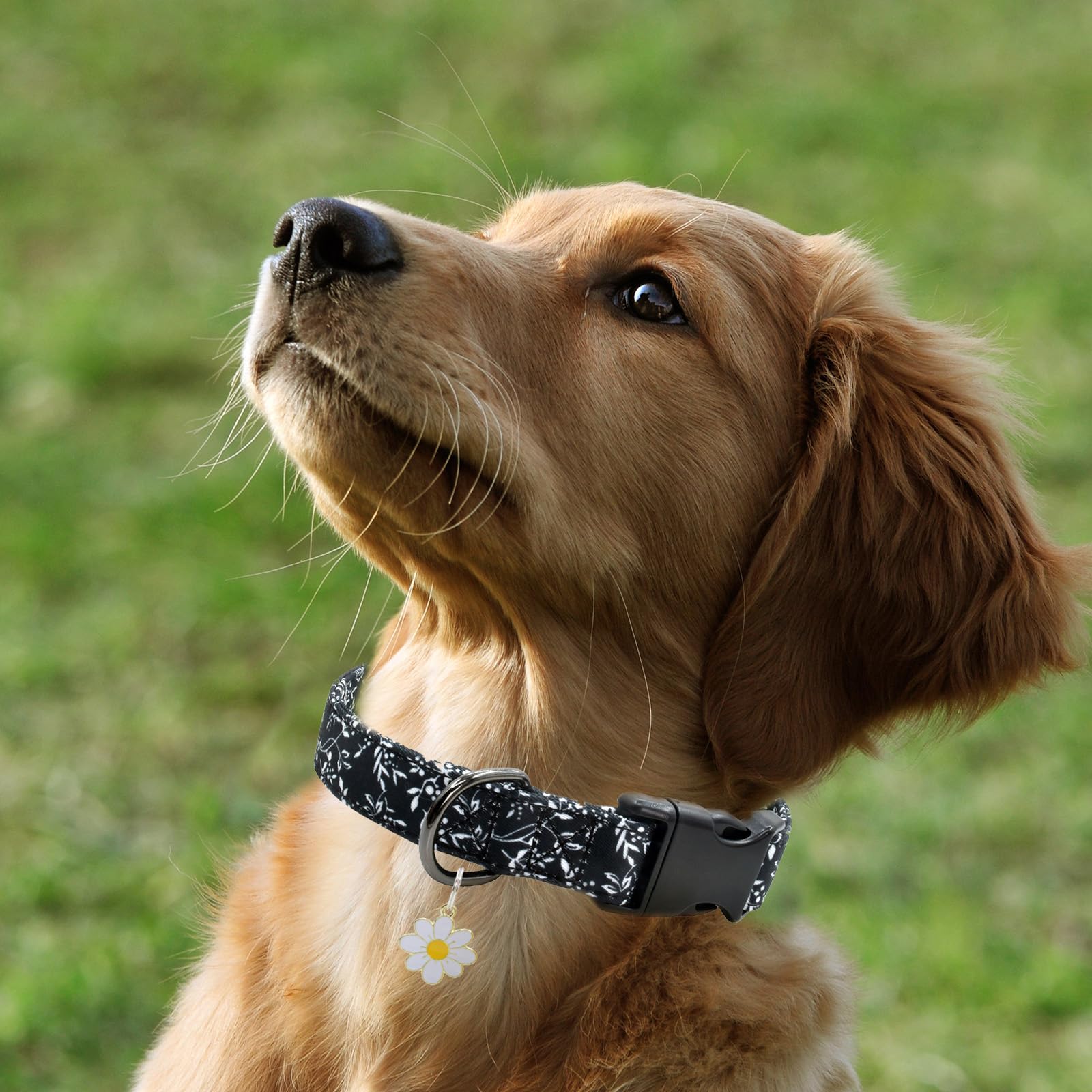 Flower Patterns Dog Collar With Accessories, Soft Cotton Dog Collars For Small Medium Large Female And Male Dogs(White Flower S)