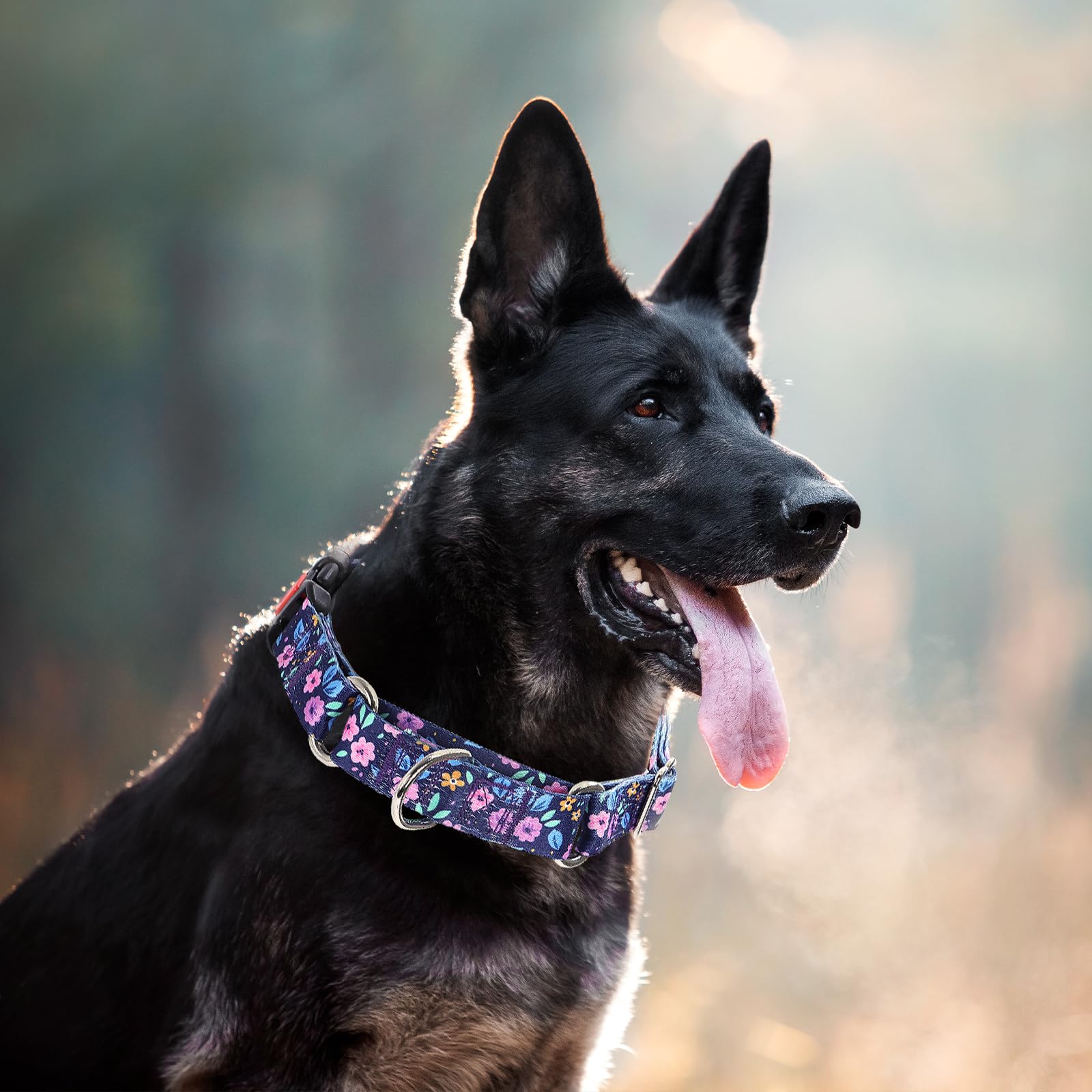 Martingale Collar For Small Dogs, Heavy Duty Training Collars With Bull Flower Design, Adjustable No Slip Collar With Safety Buc