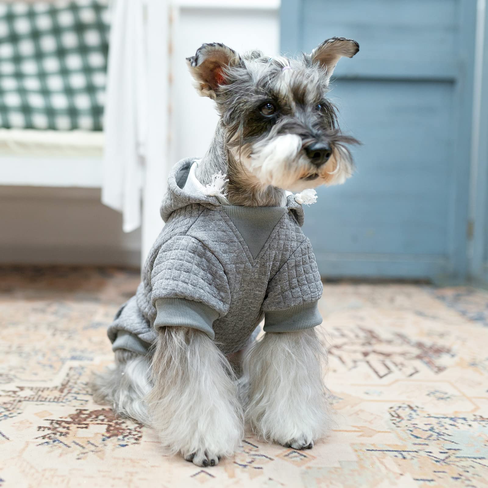 Beautyzoo Small Dog Hoodie Sweater With Pockets, Dog Clothes For Small Medium Dogs Boy Girl, Waffle-Like Laminated Cotton Pet Co