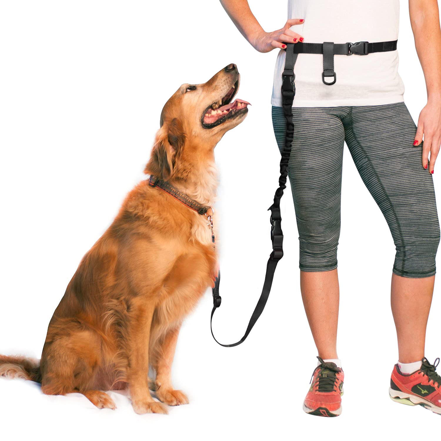 The Buddy System Adjustable Hands Free Dog Leash For Running, Jogging And Training Service Dogs Made In Usa (Large Belt (27''- 5
