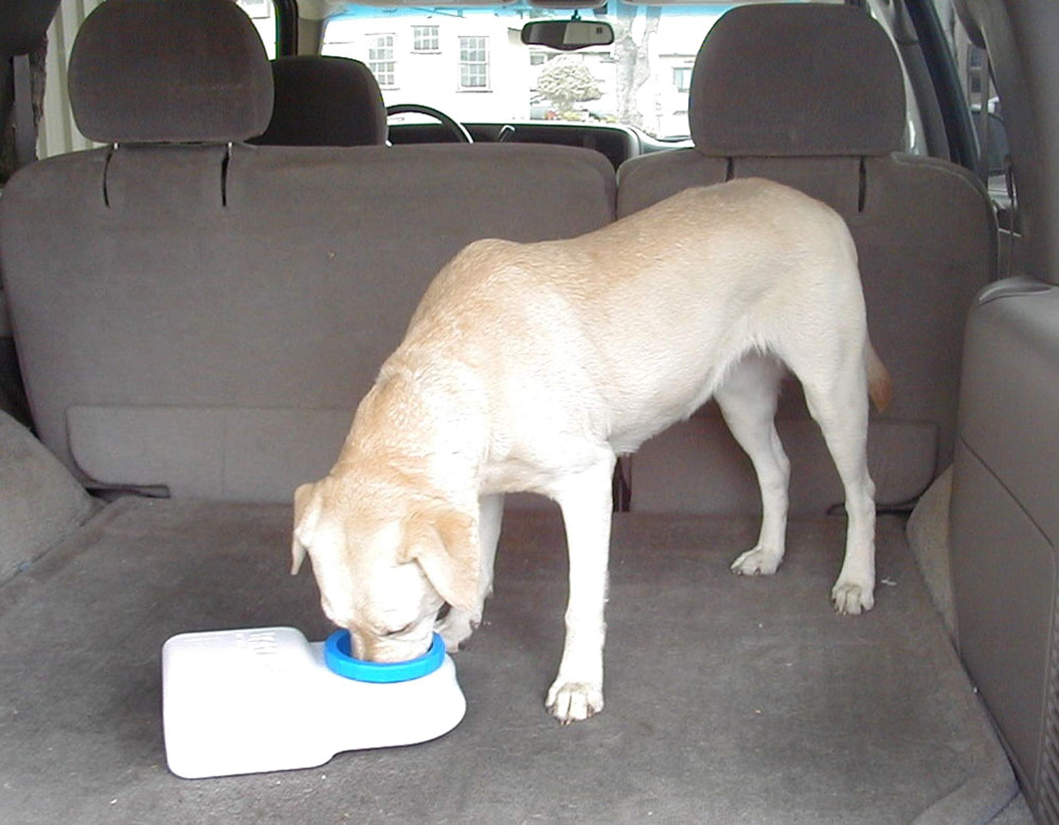 Lixit Dog Travel Water Bowl 3 Quarts
