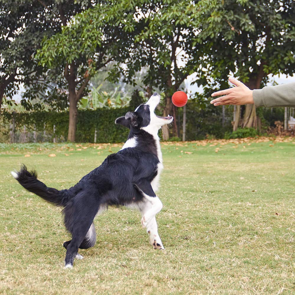 Gaesqae Hard Rubber Balls For Dogs,Dog'S Solid Rubber Bouncy Ball Bite Resistant And Indestructible Dog Training Ball,Dog Balls For Aggressive Chewers