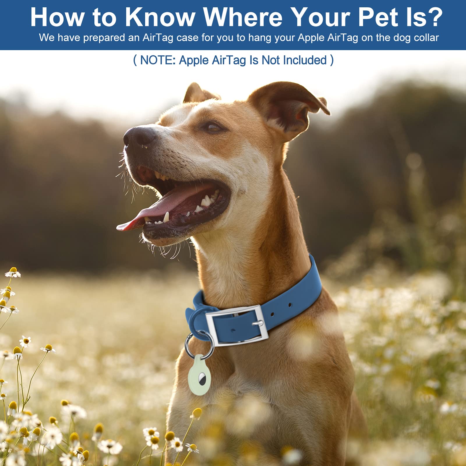 Adjustable Dog Collar with Airtag Holder: Durable Dog Collars, Soft Rubber Coated Webbing, Waterproof and Easy to Clean, for Sma