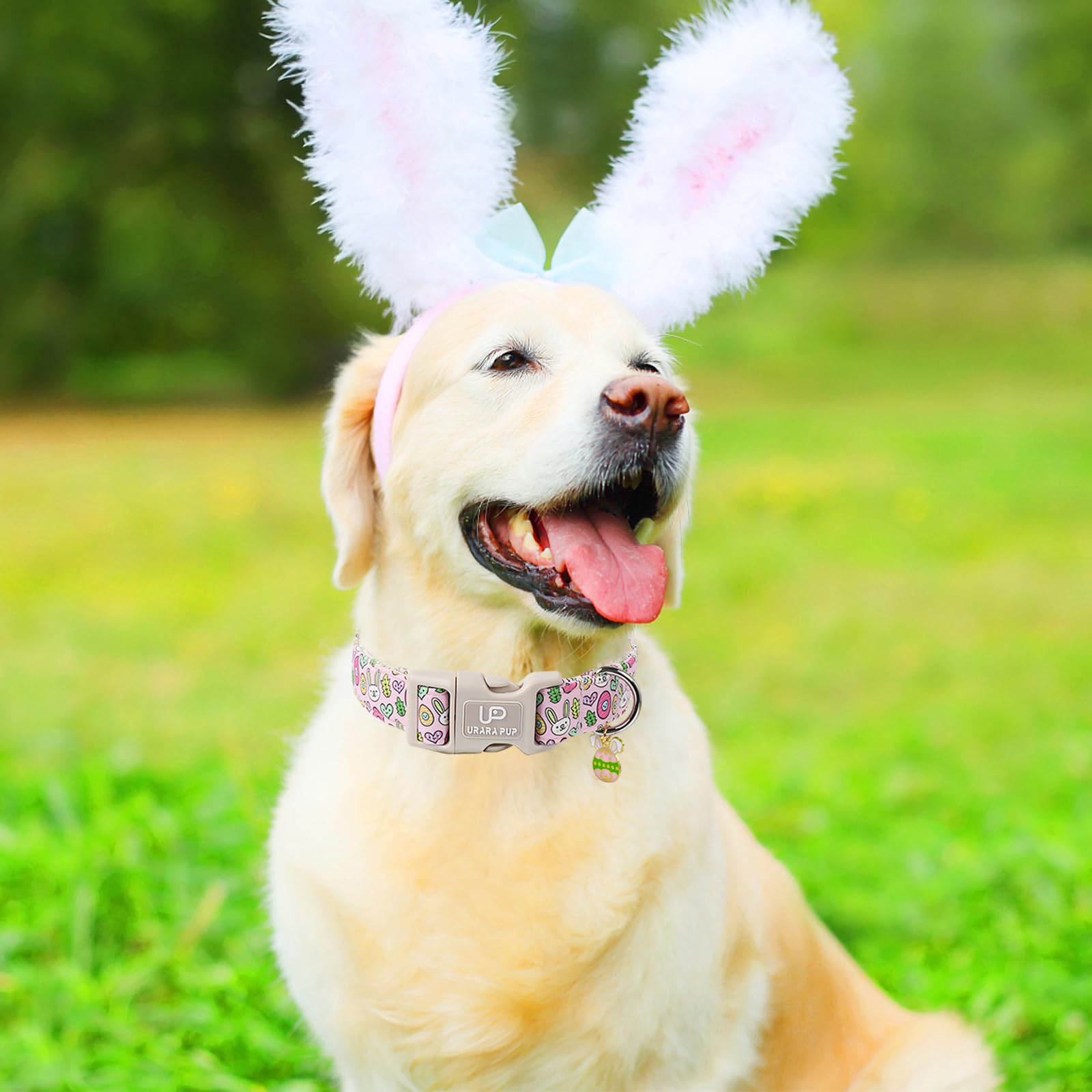 Up Urara Pup Easter Bunny Dog Collar,Cotton Easter Eggs Dog Collar For Girl Boy Puppys,Cute Rabbit Pet Collar With Quick Release