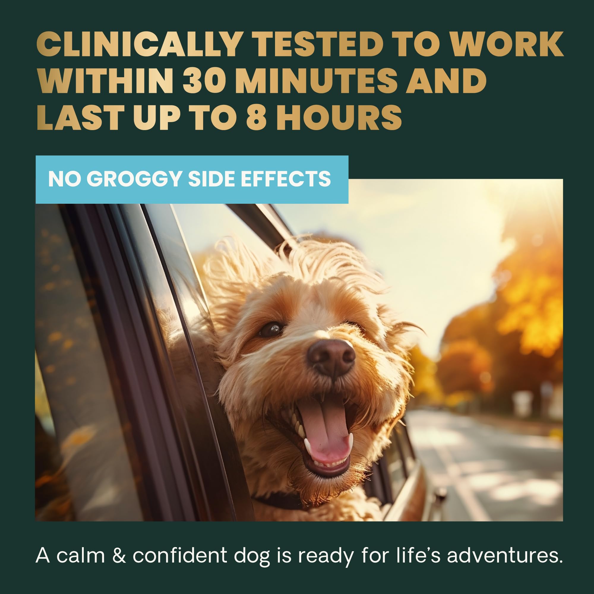 VetriScience Long Lasting Calm & Confident Calming Chews for Dogs, Supplement for Stress Support, Thunderstorms, Fireworks, & Tr