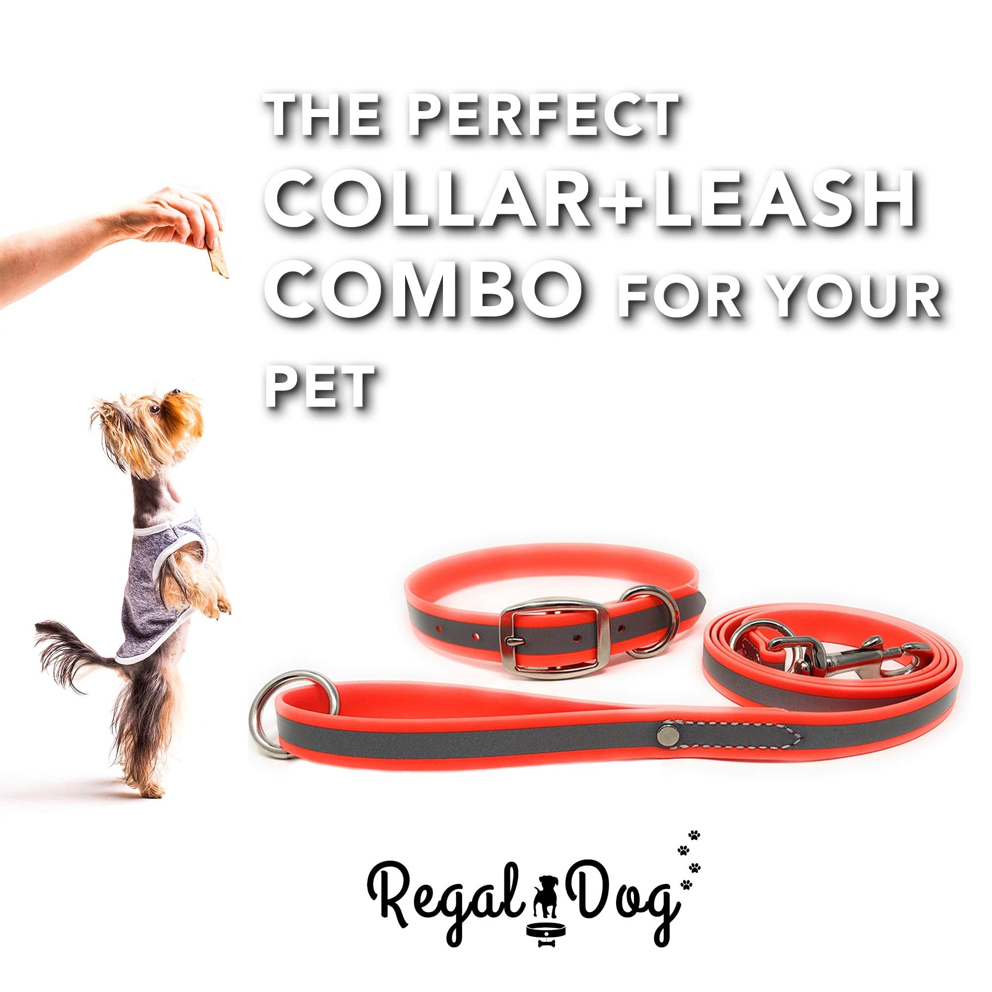 Regal Dog Products Small Orange Reflective Dog Collar And Leash Set - Waterproof Biothane Dog Collar With Heavy Duty Double Buck