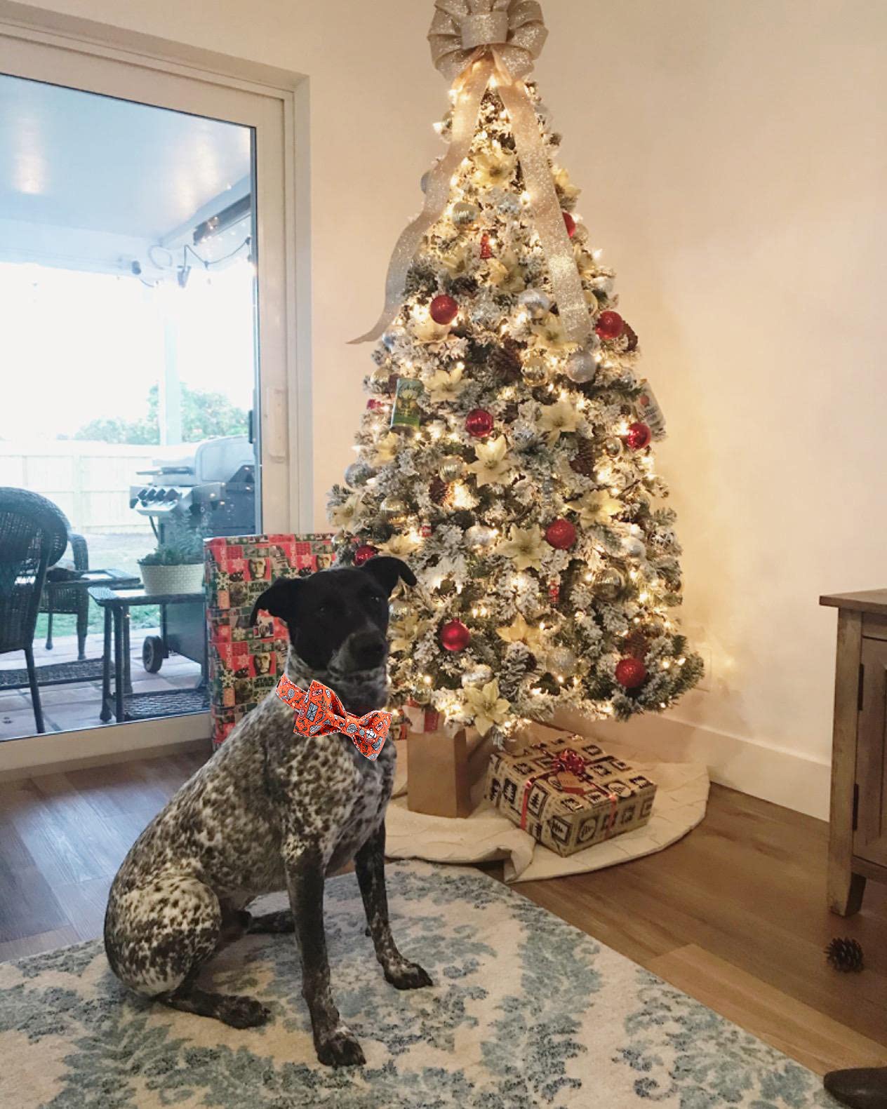 Unique Style Paws Christmas Dog Collar With Bow, Puppy Collar Pet Gift Adjustable Dog Collar Soft And Comfy Bowtie Collars For X