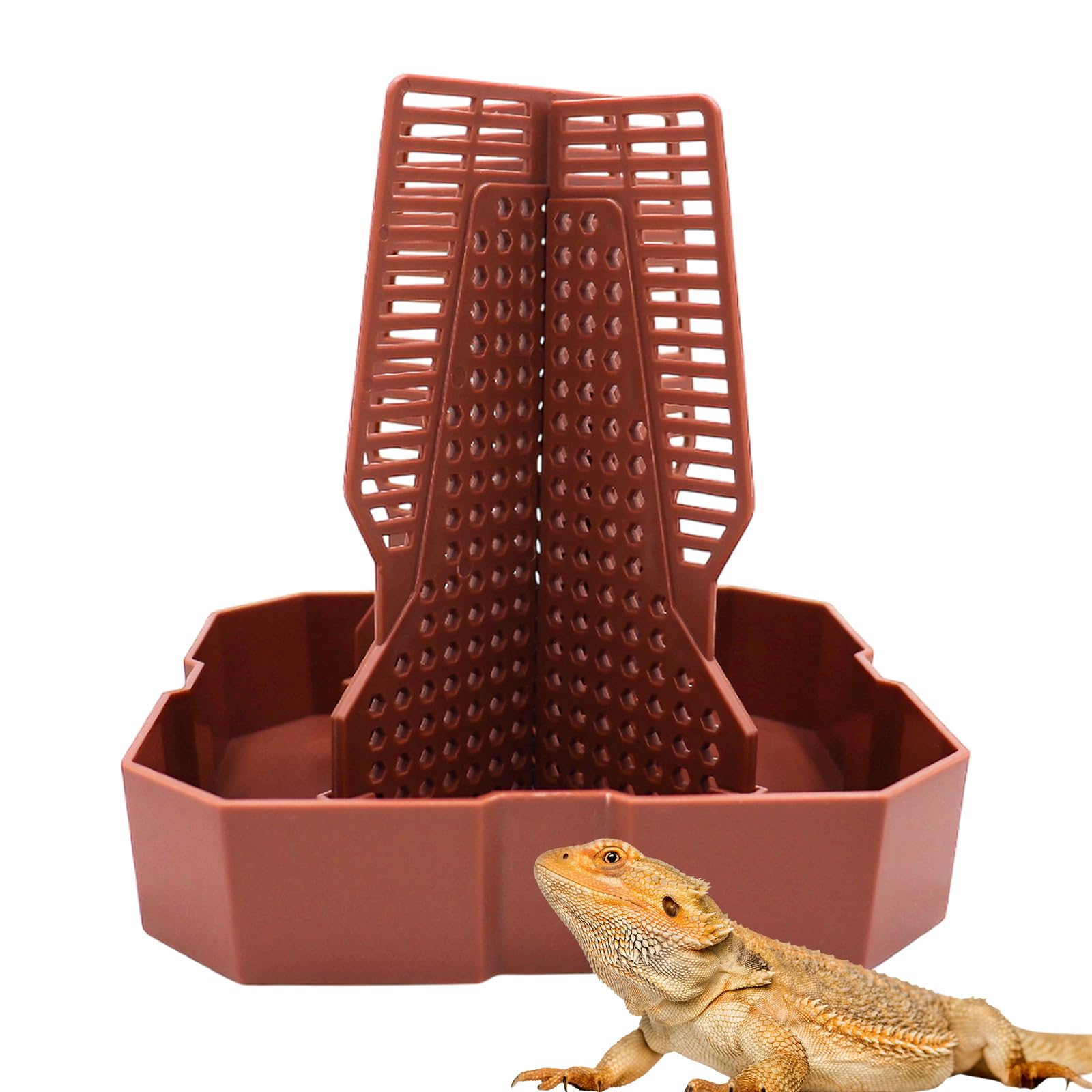 Bearded Dragon Tank Accessories, Lizard Feeder, Reptile Food Cup, Dubia Roaches Organizer with Column for Prey to Climb and Move