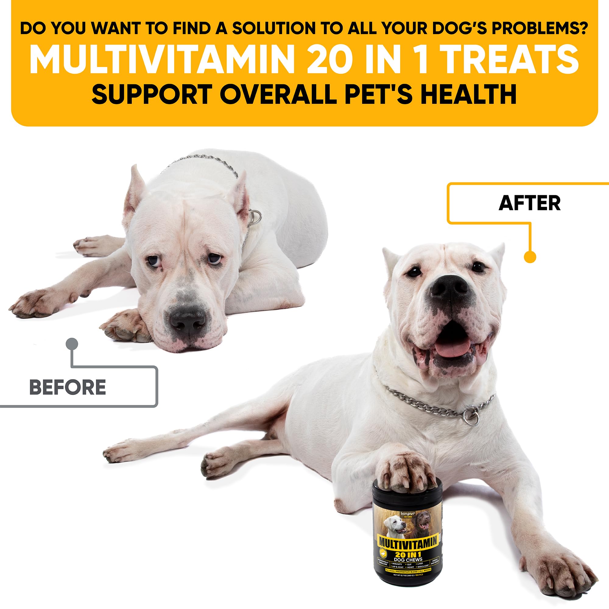 20-in-1 Dog Multivitamin Supplements - Immunity, Digestion, Joint and Heart Health Support - Natural Dog Vitamins with Biotin, M