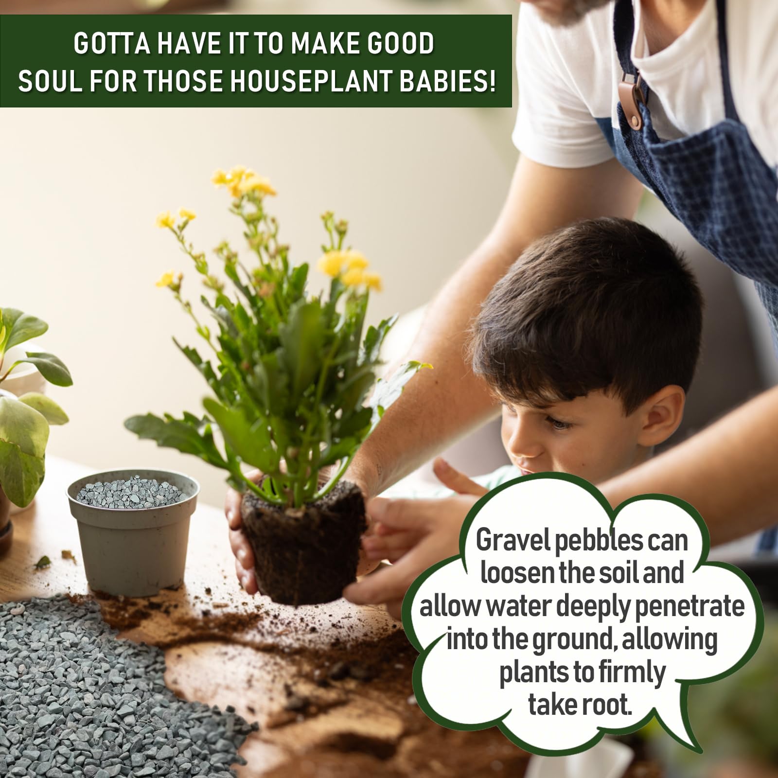 2 LBS Blue Pea Gravel, Natural Succulent and Cactus Gravel Pebbles, Pebbles for Indoor Plants, Natural Gardens Mulching, for Hou