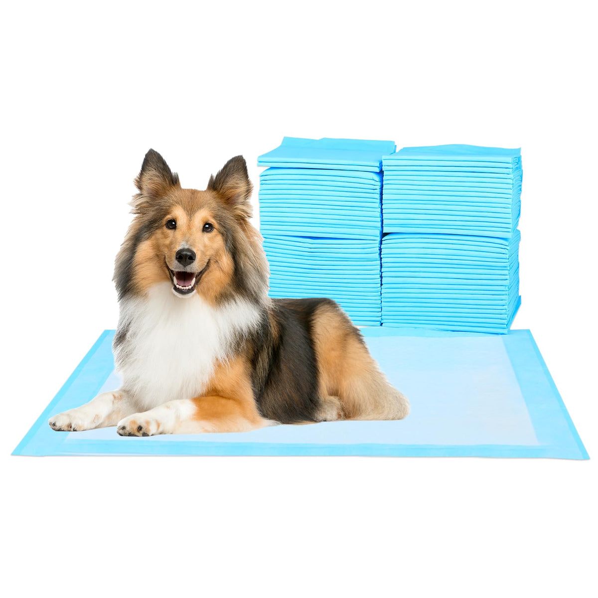 Super-Absorbent Waterproof Dog And Puppy Pet Training Pad, Housebreaking Pet Pad,Blue (23.6'X23.6' （100Pcs）)