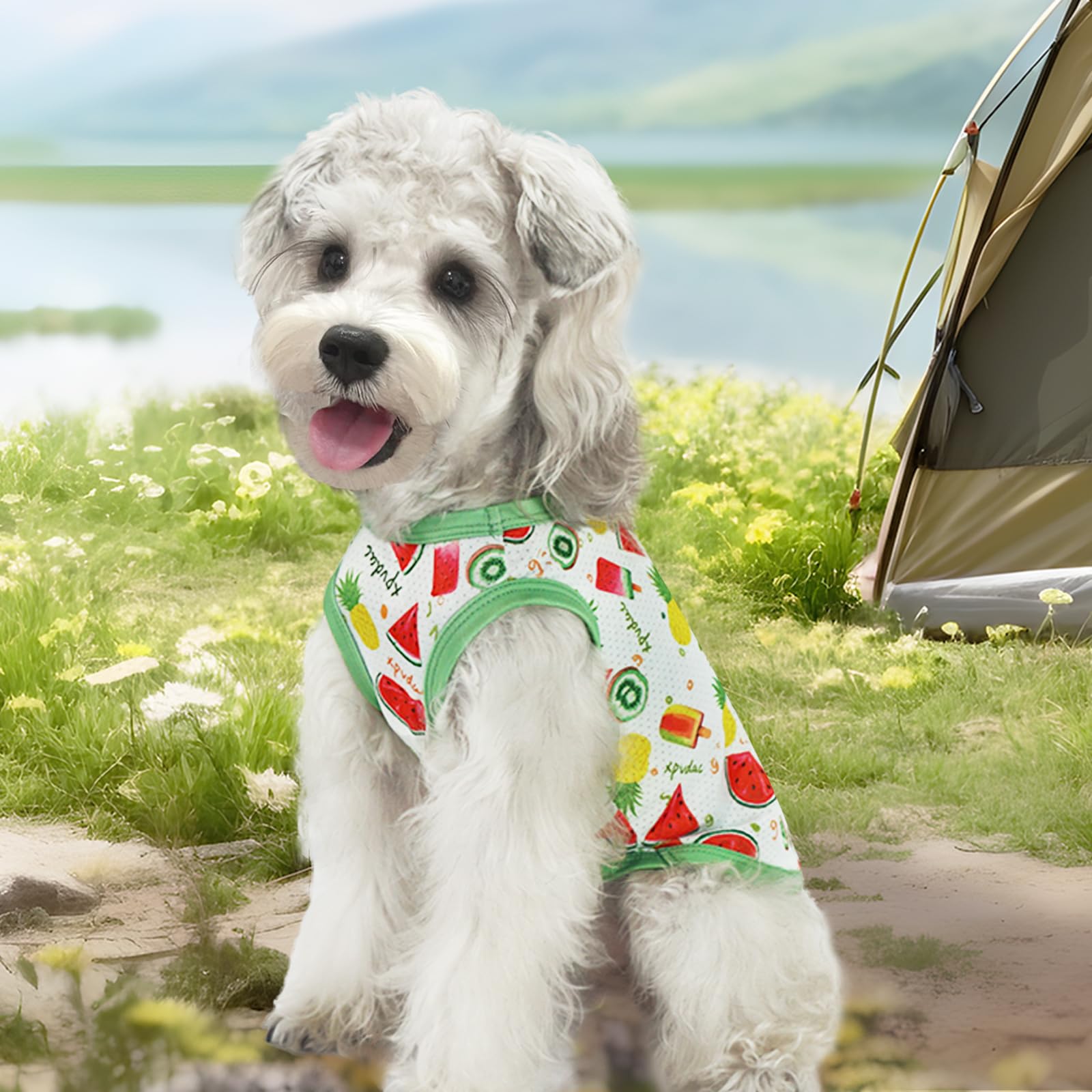 Xpudac 4 Pack Dog Shirts Cooling Quick Dry Summer Dog Clothes For Small Dogs Boy Girl Lightweight Breathable Dog Cooling Vest-X-