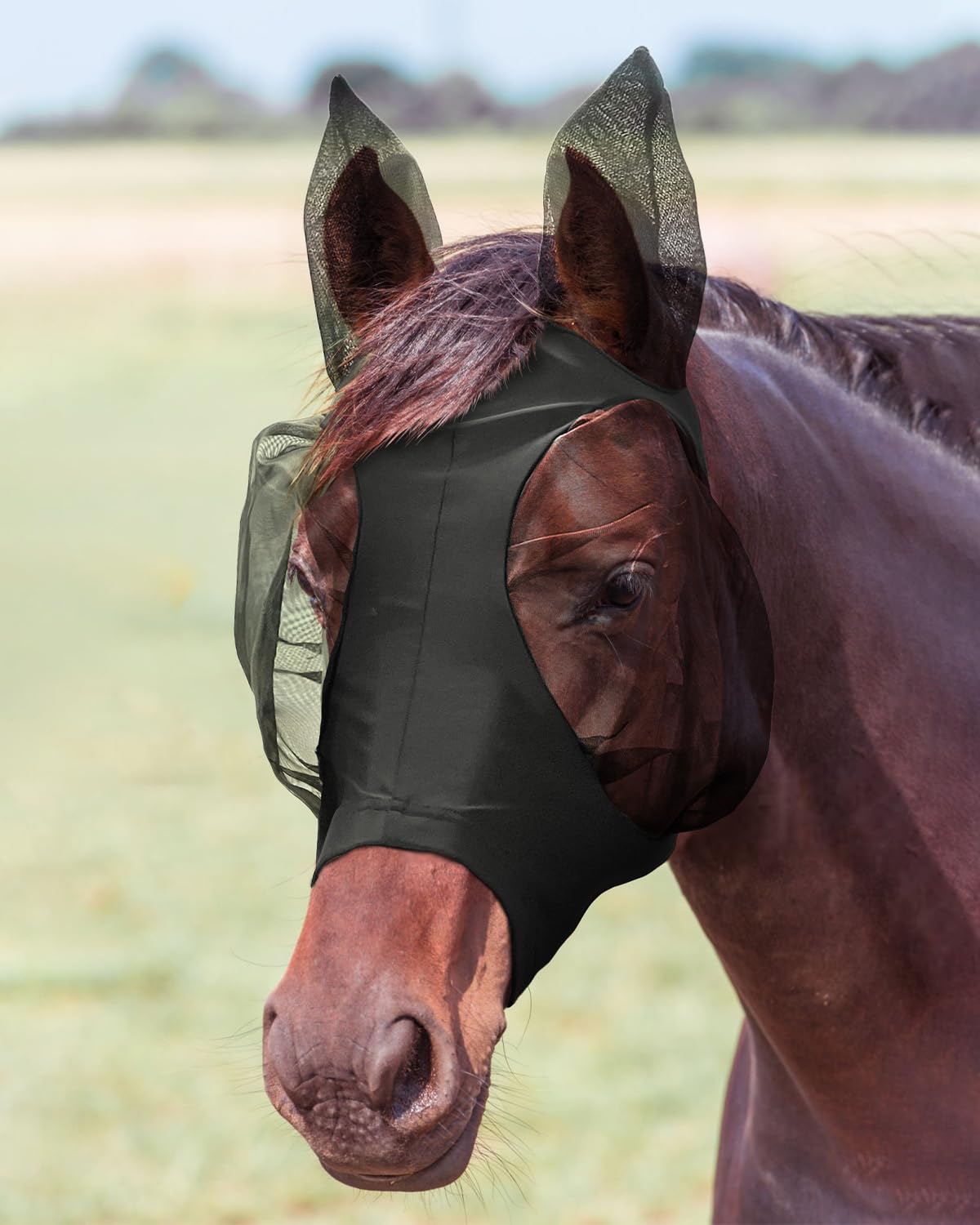 Hilltown Fly Masks for Horses with Ears - Large Eye Space, Comfort, UV-Block - Horse Fly Mask for Daily Stable, Hot Weather Ridi