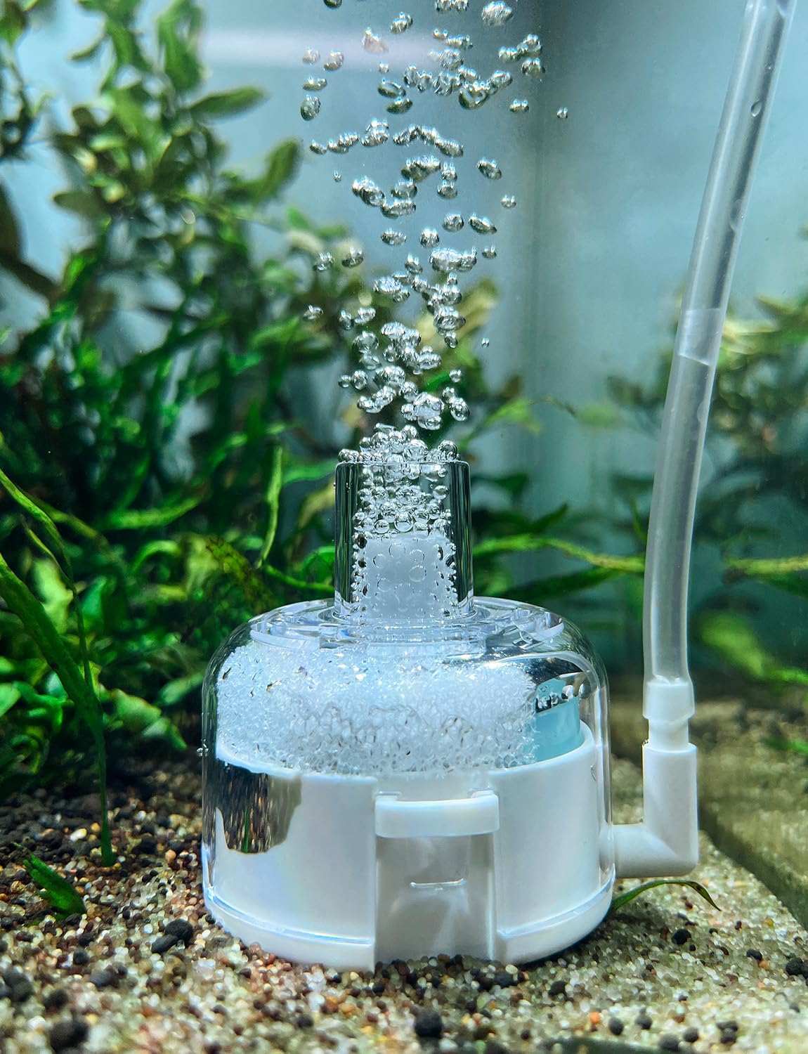 UPETTOOLS Mini Aquarium Sponge Filter, Small Fish Tank Filter Submersible Fish Filter Built-in Air Bubble Stone and Bio Balls fo