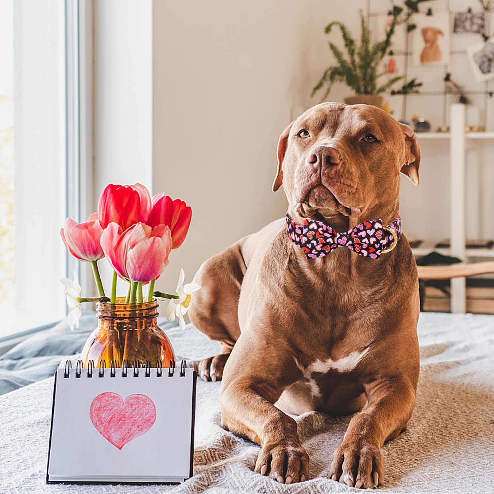 Babole Pet Valentines Dog Collar with Bow Tie,Colorful Love Heart Valentine Dog Collars with Safety Metal Buckle Adjustable Pupp
