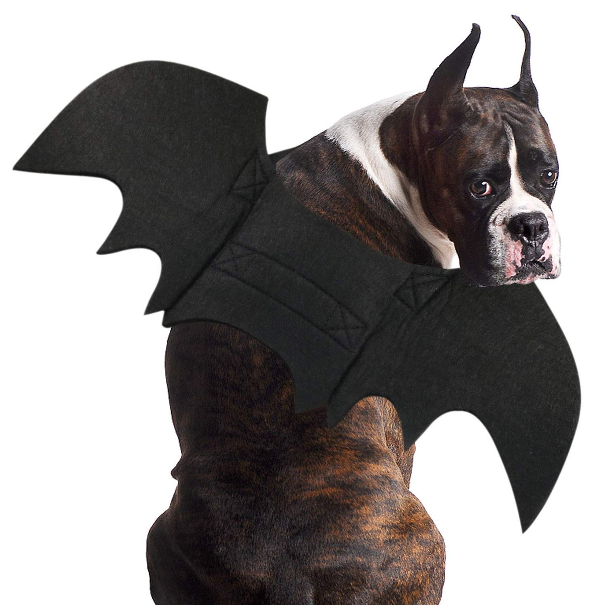 Rypet Dog Bat Costume - Halloween Pet Costume Bat Wings Cosplay Dog Costume Cat Costume For Party Xl