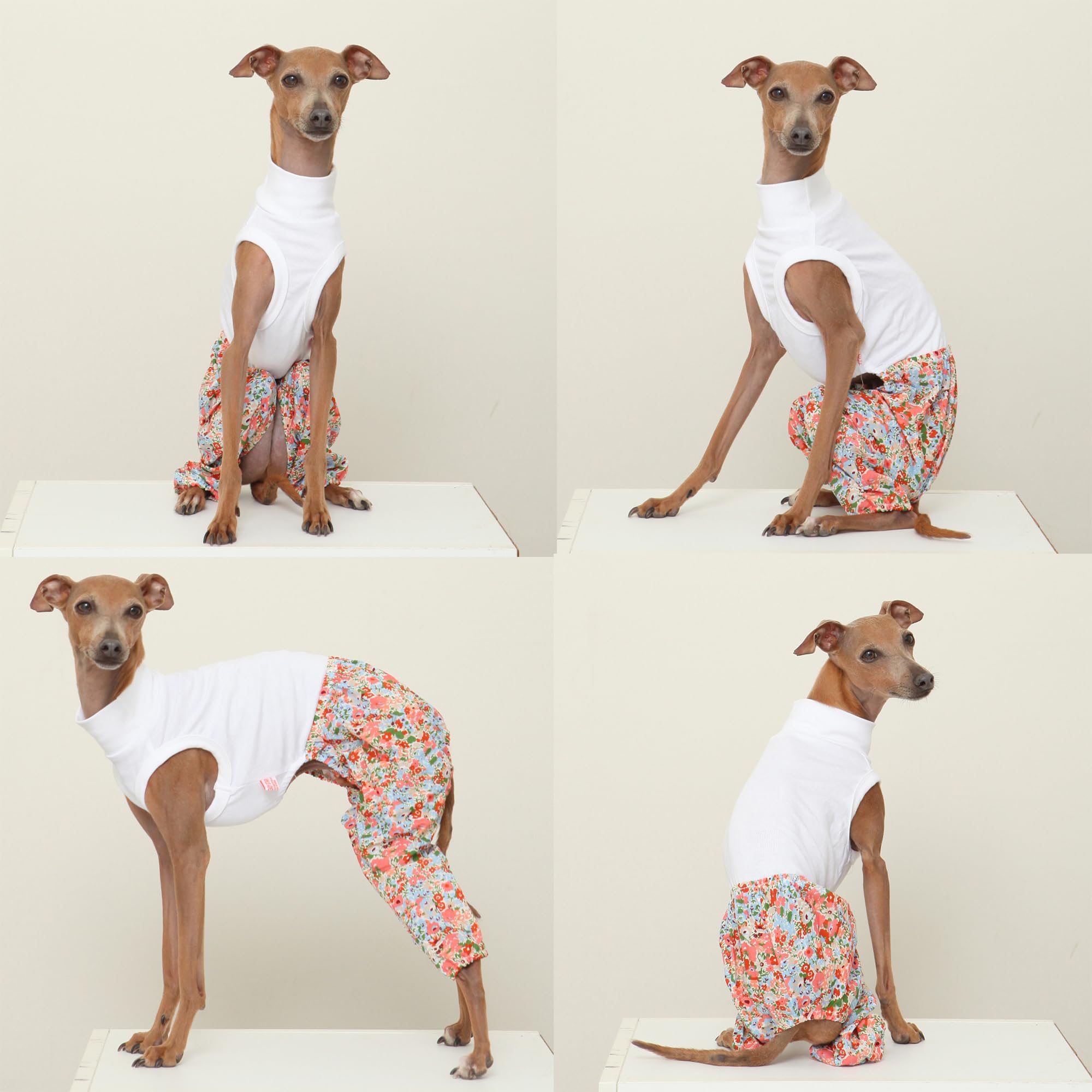 D Doggy Star Italian Greyhound Clothes Mombbe Onesie Outfit Whippet For Dog Coat (3Xl,Mombbe Orange)