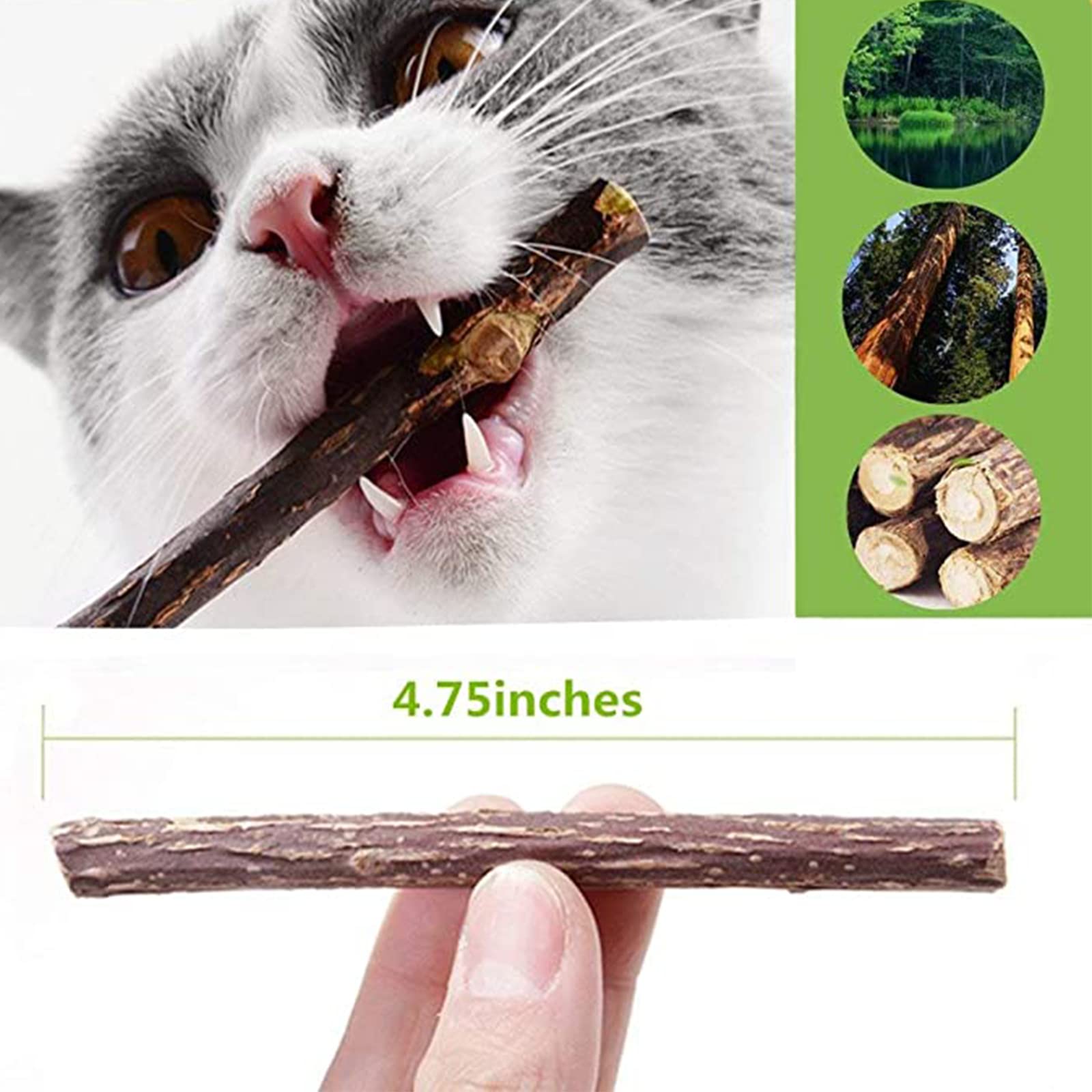 Ueerdand 50 Pcs Catnip Sticks Organic Cat Chew Toys Natural Plant Matatabi Silvervine Chew Sticks Cat Teeth Cleaning Chew Toy Cat Kitten Kitty