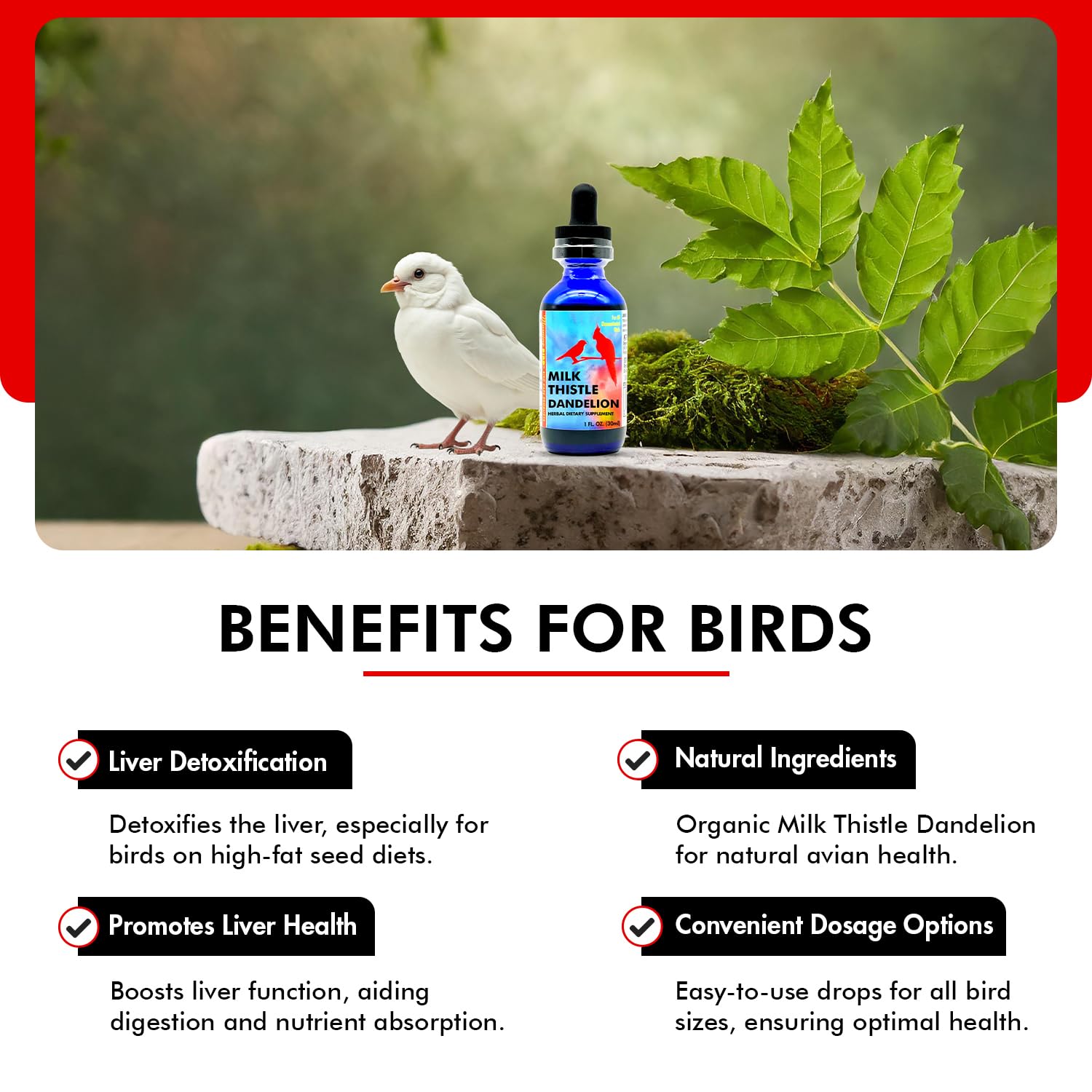 Morning Bird Milk Thistle & Dandelion Extract - Organic Bird Supplement for Optimal Health - Support Liver Heath & Promotes Deto