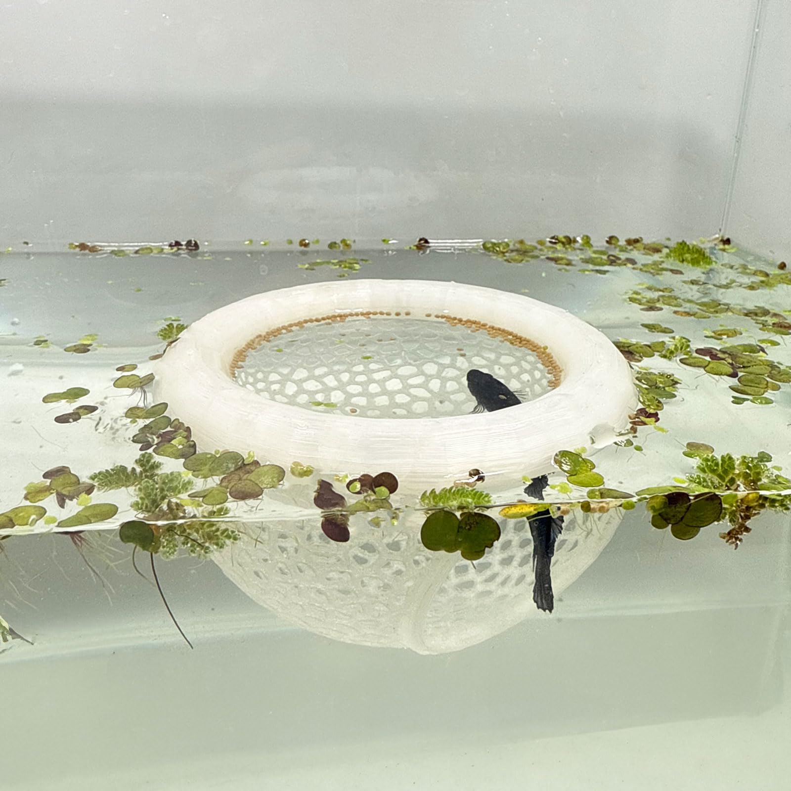 Aquarium Floating Betta Fish Skins, Betta or Shrimp Feeder, Cave and Hammock, Small Fish Feeding Rings, Aquarium Hiding Feeding 