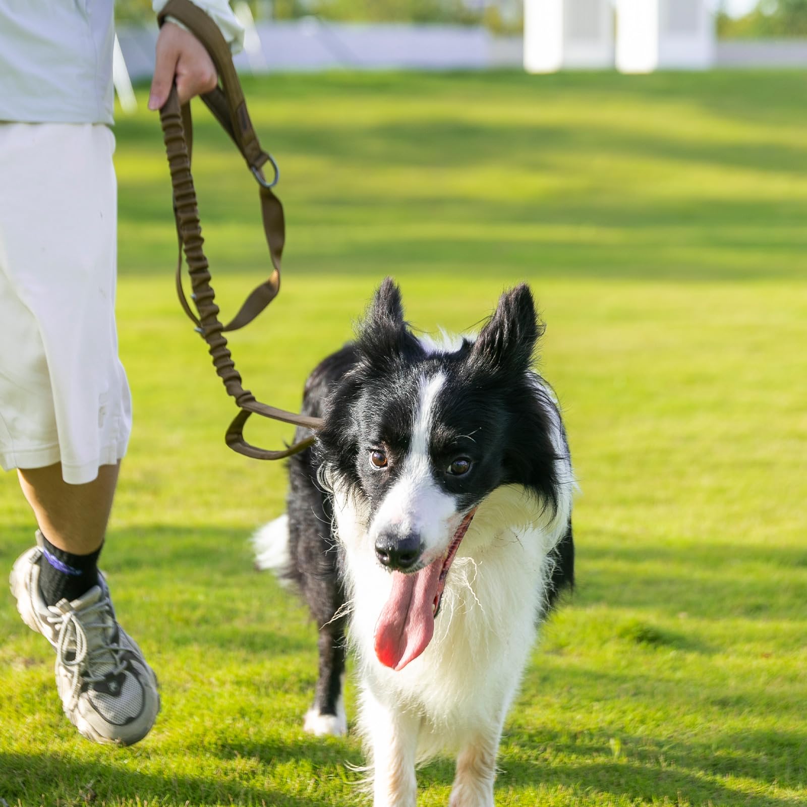 Excellent Elite Spanker Tactical Dog Leash Heavy Duty 5-6Ft Adjustable No Pull Military Bungee Dog Leash Elastic Leads Rope With 2 Padded Control Handle For Medium Large X-Large Dogs(Coyote Brown)
