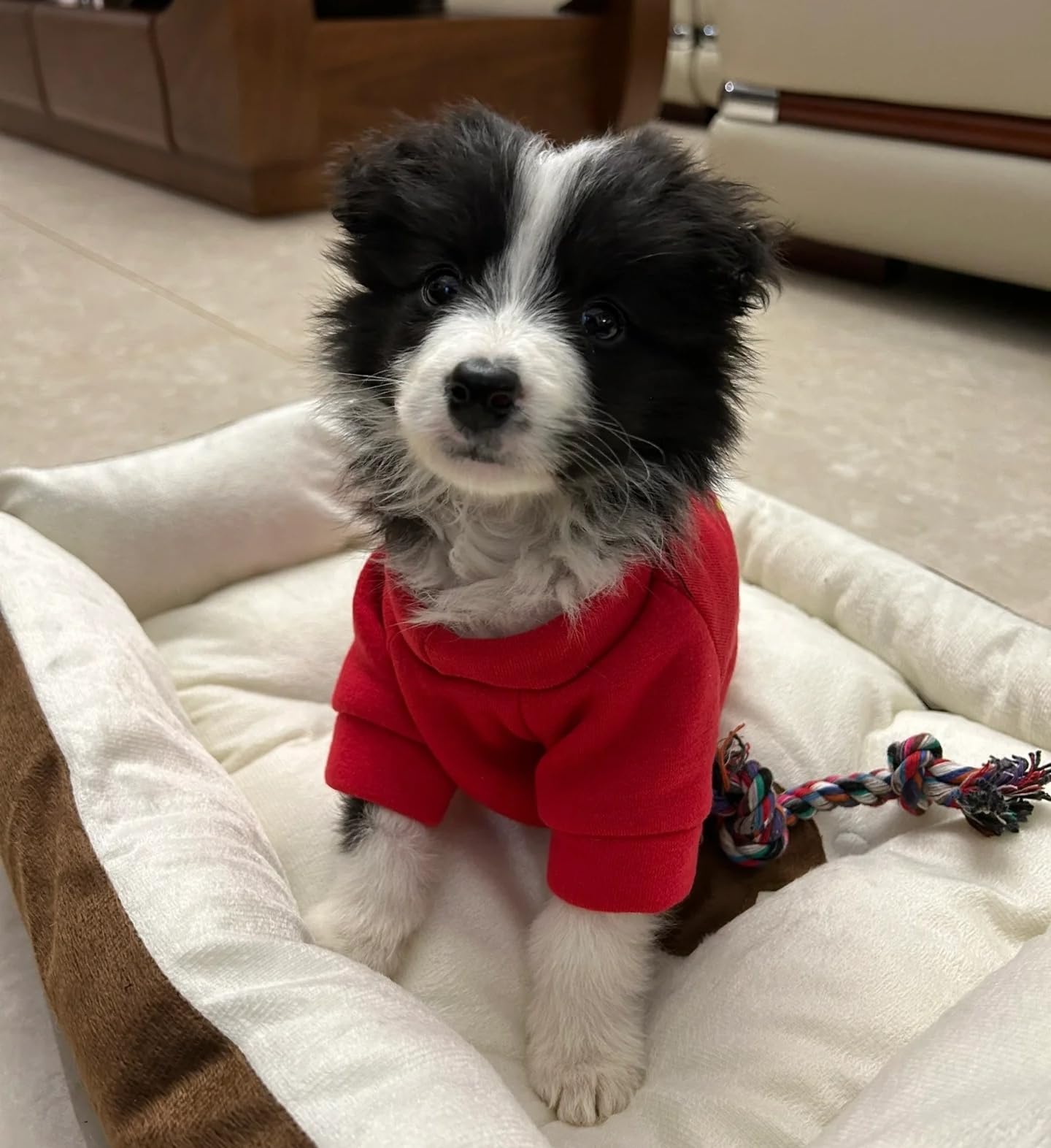 Anhome 2 Pieces Dog Sweater For Small Dogs & Puppies, Soft & Warm, Red & Blue, Small