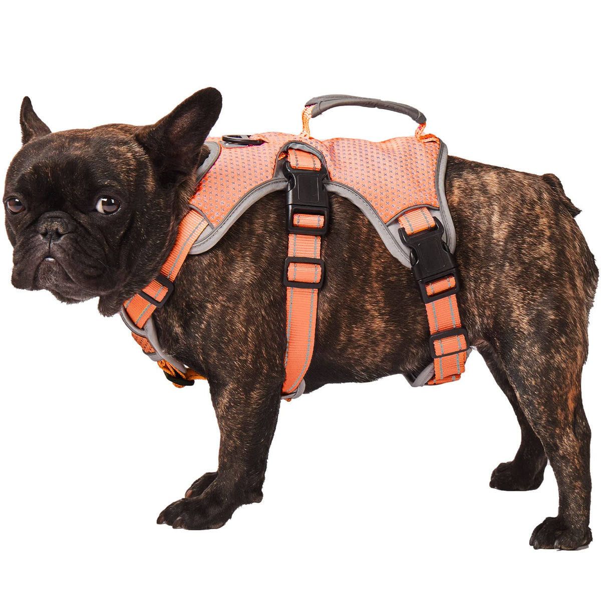 Paworld No Escape Dog Harness, Escape Proof Harness, Fully Reflective Harness With Padded Handle, Breathable,Durable, Adjustable Vest For Medium Dogs Walking, Training, And Running Gear (Orange, M)