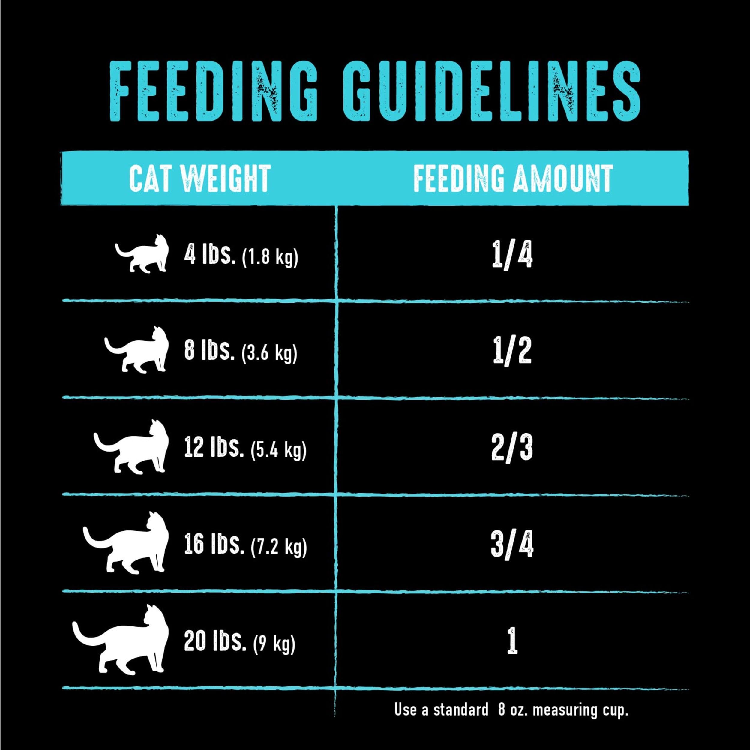 CRAVE Grain Free Adult High Protein Natural Dry Cat Food with Protein from Salmon & Ocean Fish, 2 lb. Bag
