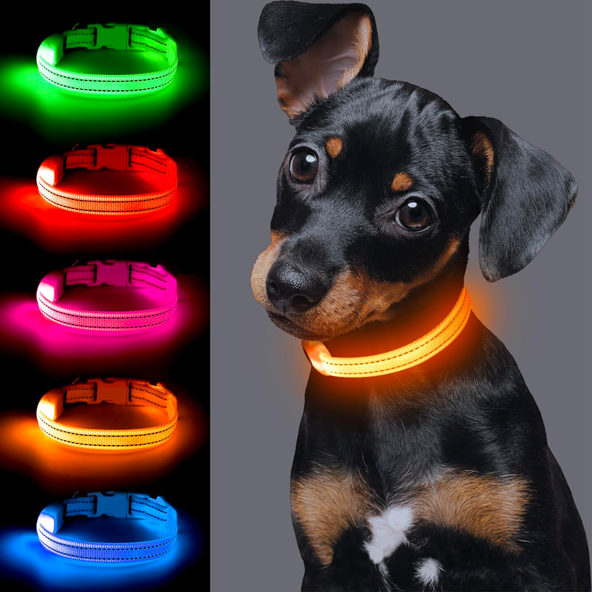 Light Up Dog Collar For Small Dog,Vizpet Xs Adjustable Size Nylon Collar Usb Rechargeable Bright Safety Pet Collar For Cats Dogs (Orange)