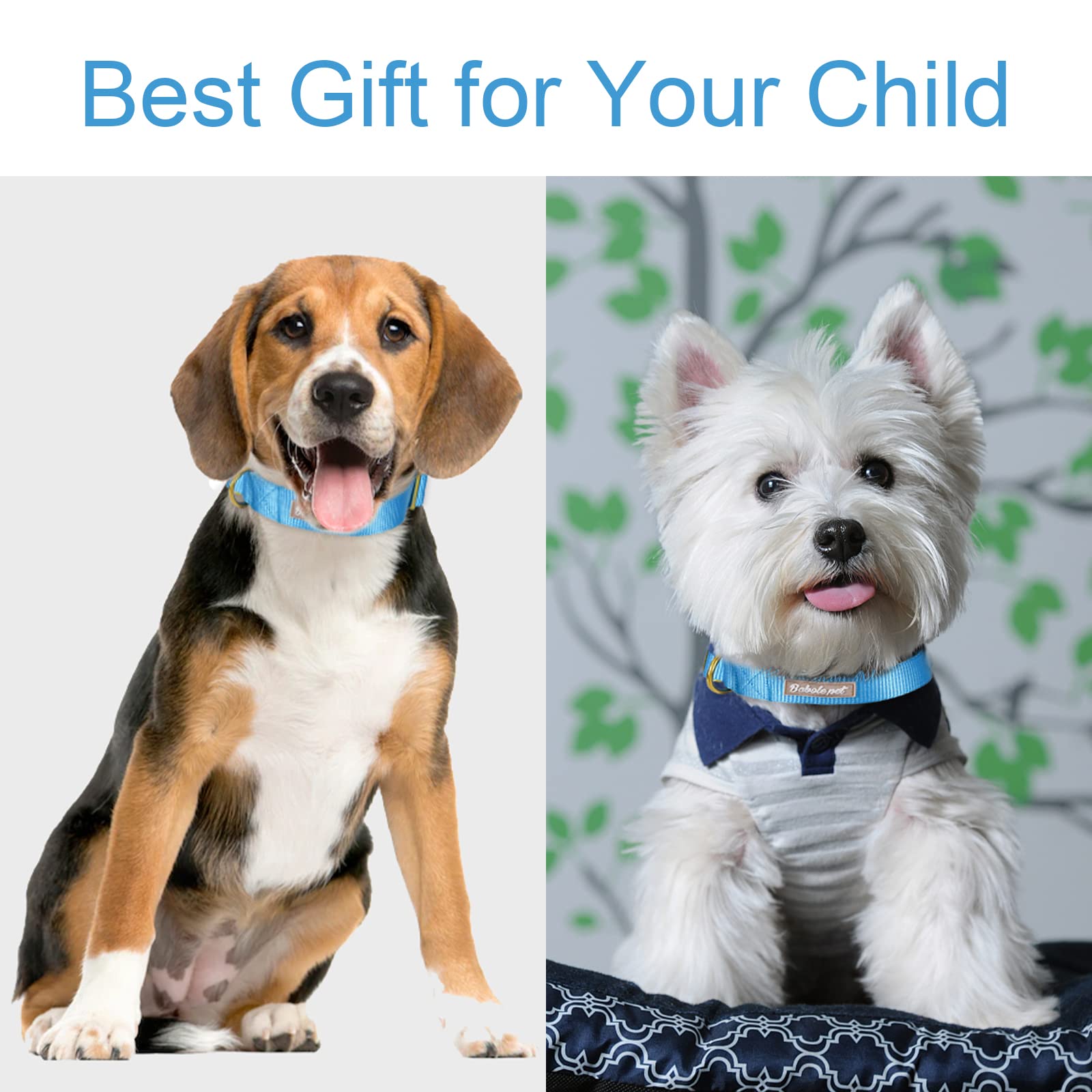 Babole Pet Nylon Dog Collar - Adjustable Blue Soft Webbing Dog Collars For Small Medium Large Dogs Boy Girl Puppy Collar With Sa