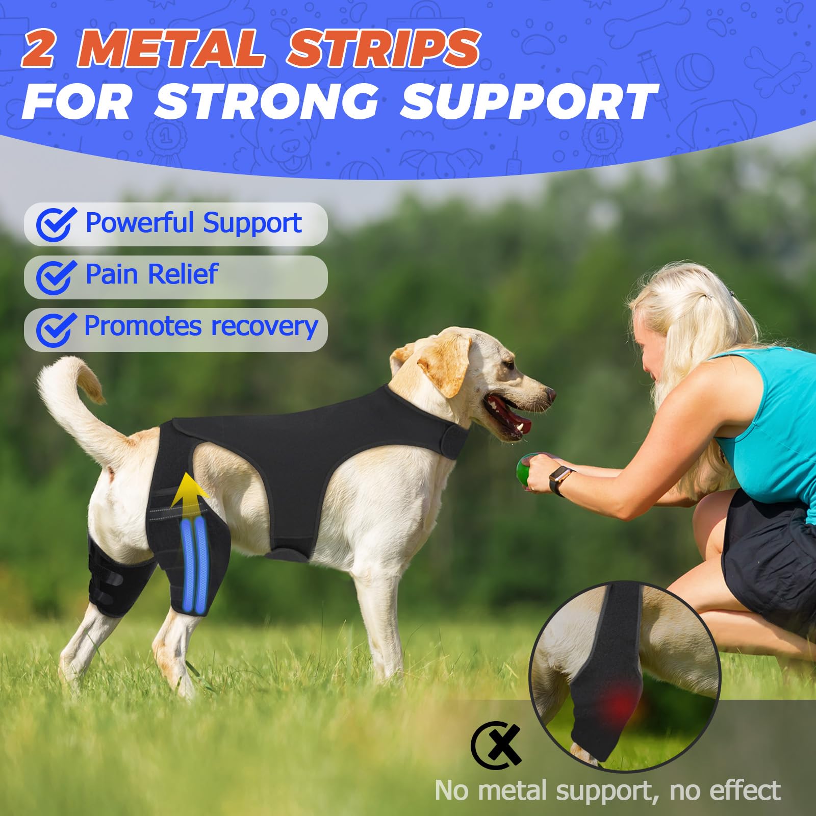 Dog Knee Brace for Torn ACL Hind Leg, Dog Leg Brace for Back Leg Fit Large Middle Small Dogs for Luxating Patella, Hip Dysplasia