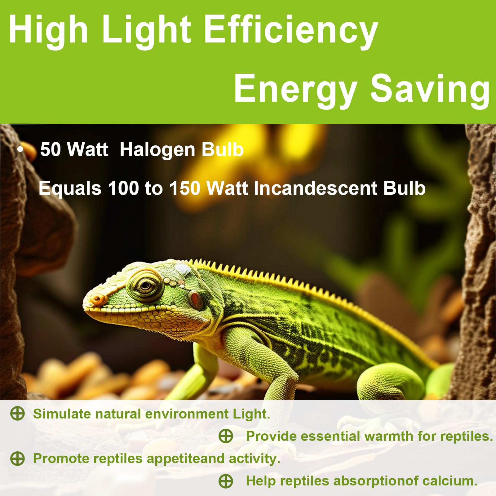 YEGRUEB UVB UVA Reptile Light Bulb 50W Bulb for Reptiles and Amphibians Use for Turtle, Bearded Dragon, Lizard Cages Heat Lamp R