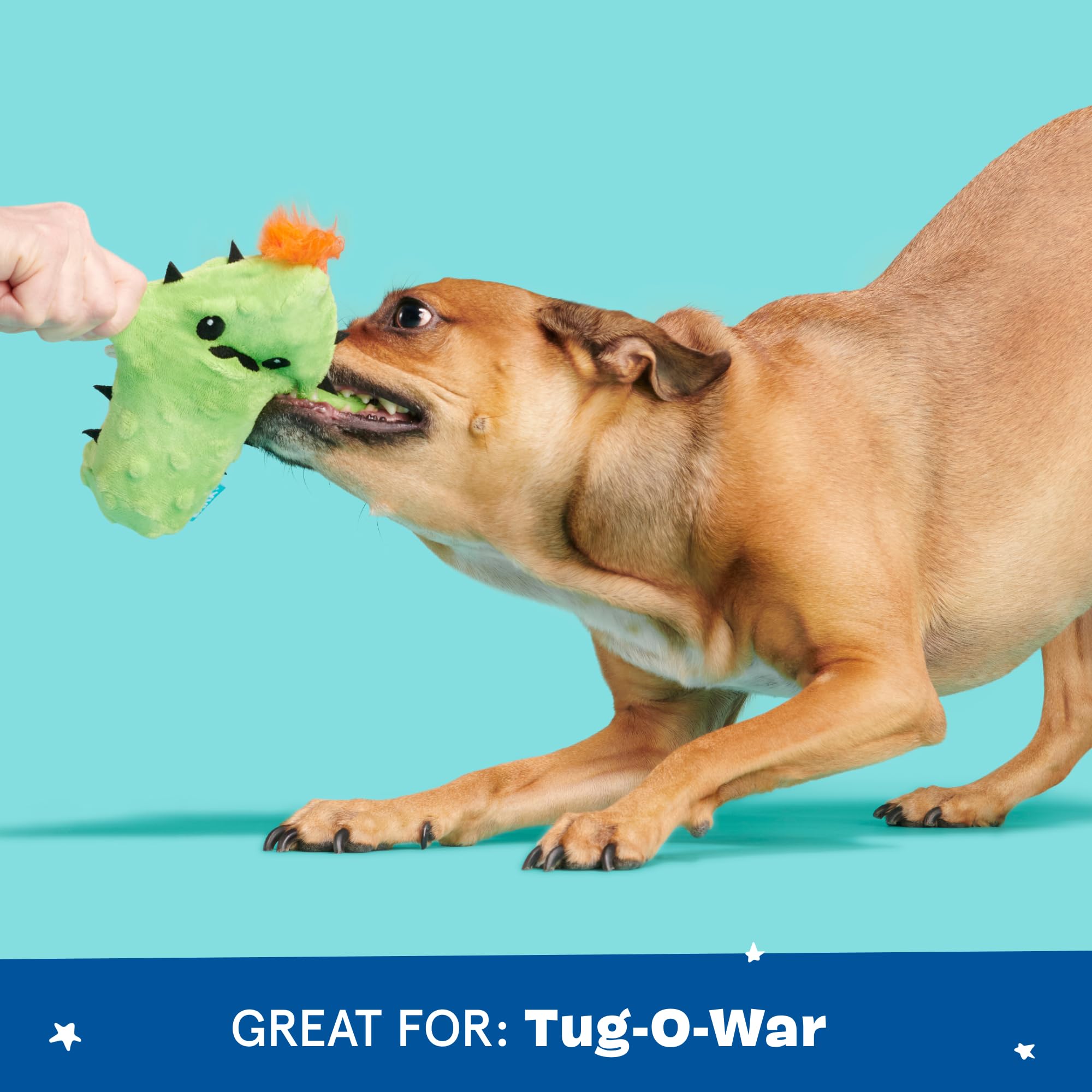 Barkbox 2 in 1 Interactive Plush Dog Toy - Rip and Reveal Toy for Dogs and Puppies - Stimulating Squeaky Pet Toys | Prickly Pete