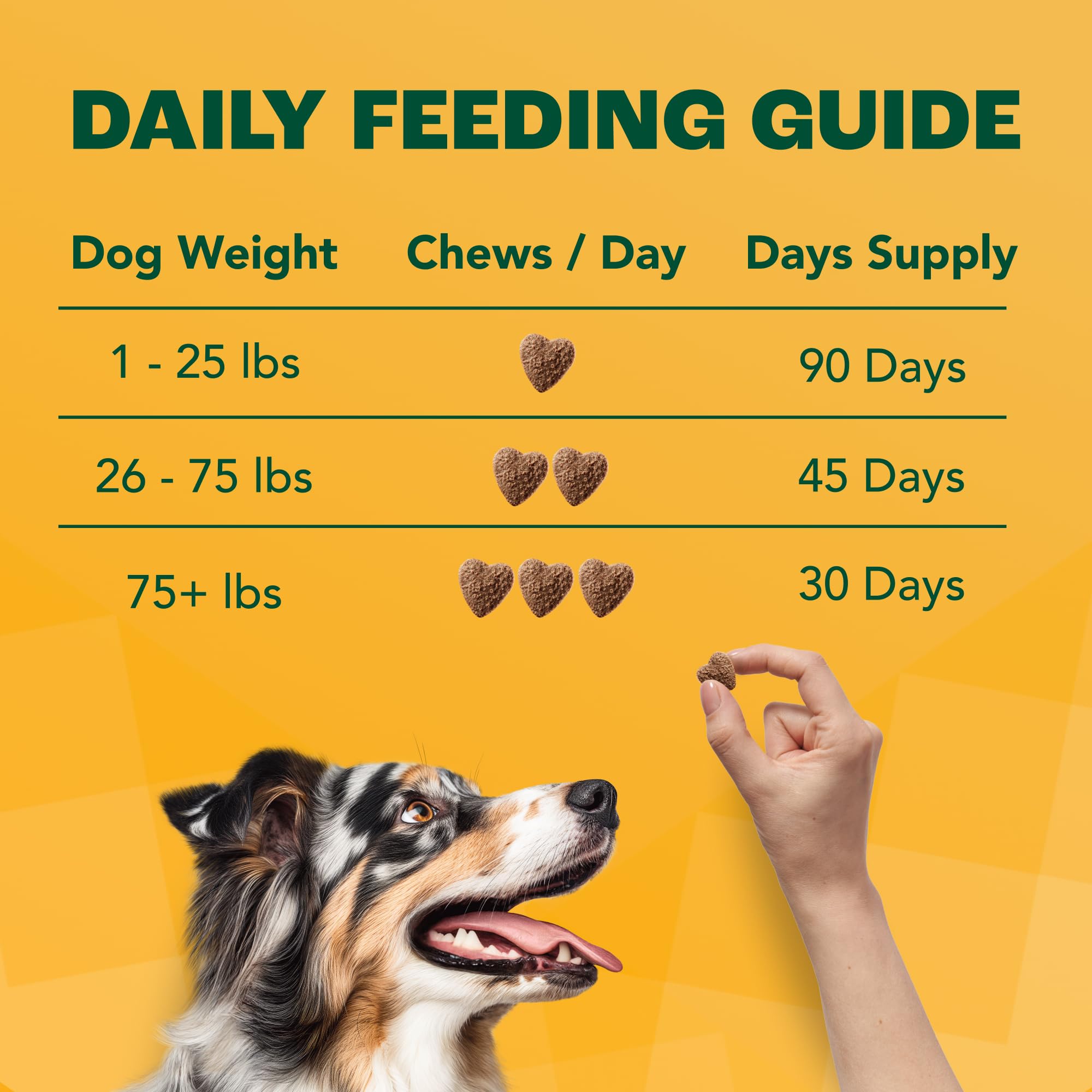 Furtify Probiotics for Dogs with Prebiotics, Fiber, Chicory Root & Pumpkin I 8-Strain Pre and Probiotic Dog Chews | Dog Probioti