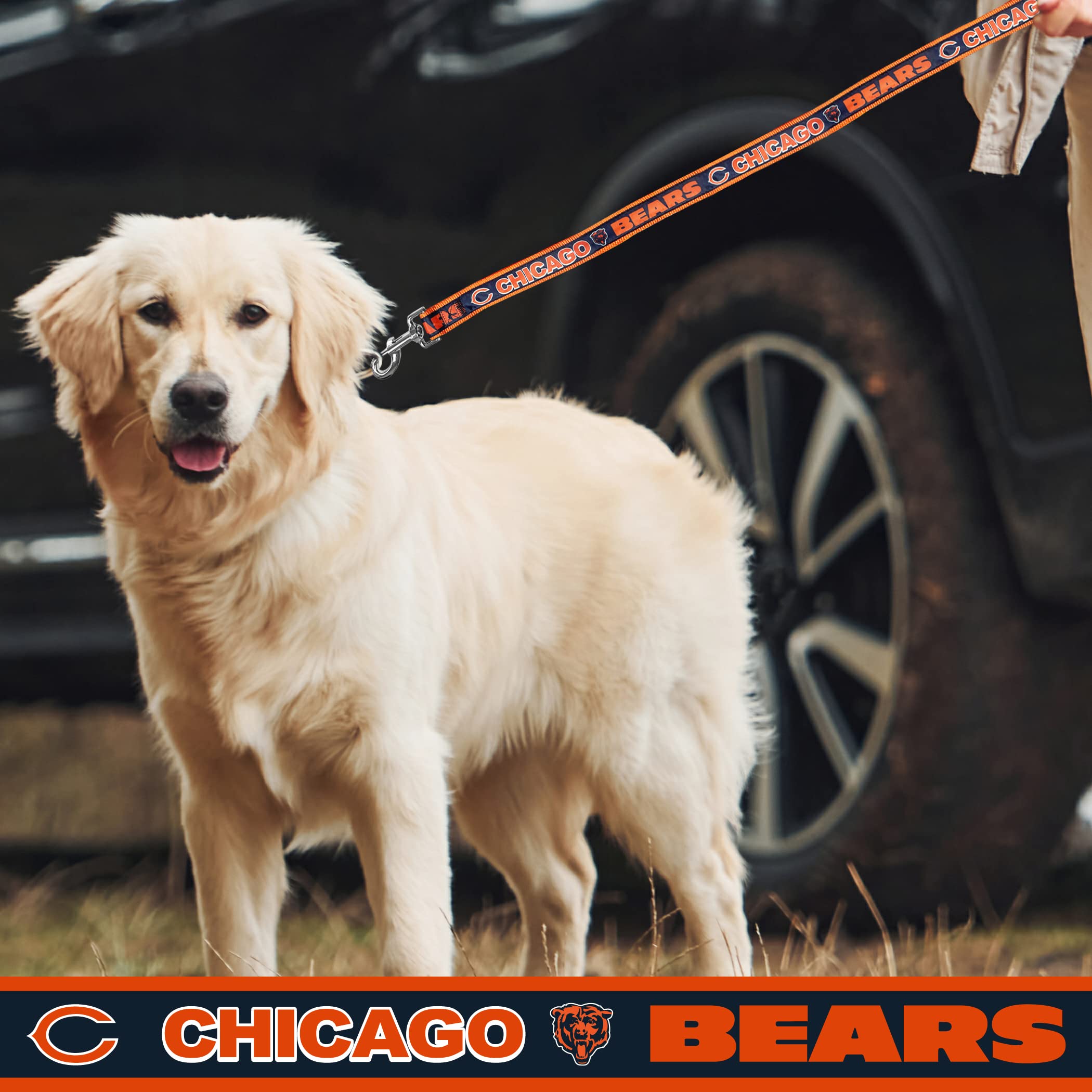 Nfl Pet Leash Chicago Bears Dog Leash, Large Football Team Leash For Dogs & Cats. A Shiny & Colorful Cat Leash & Dog Leash Licen