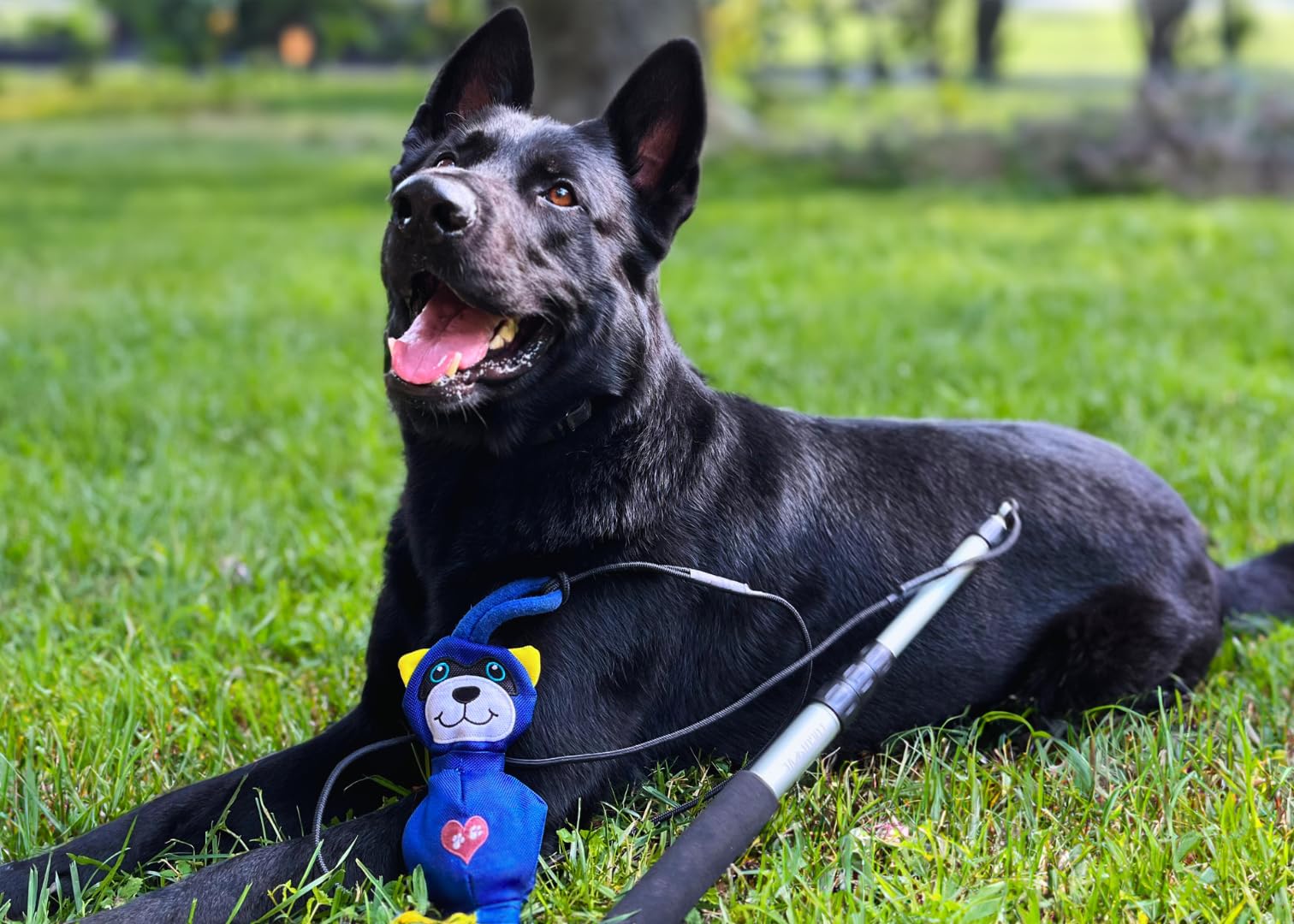 Lucolove Replacement Rope For Mighty Strongbite Flirt Pole