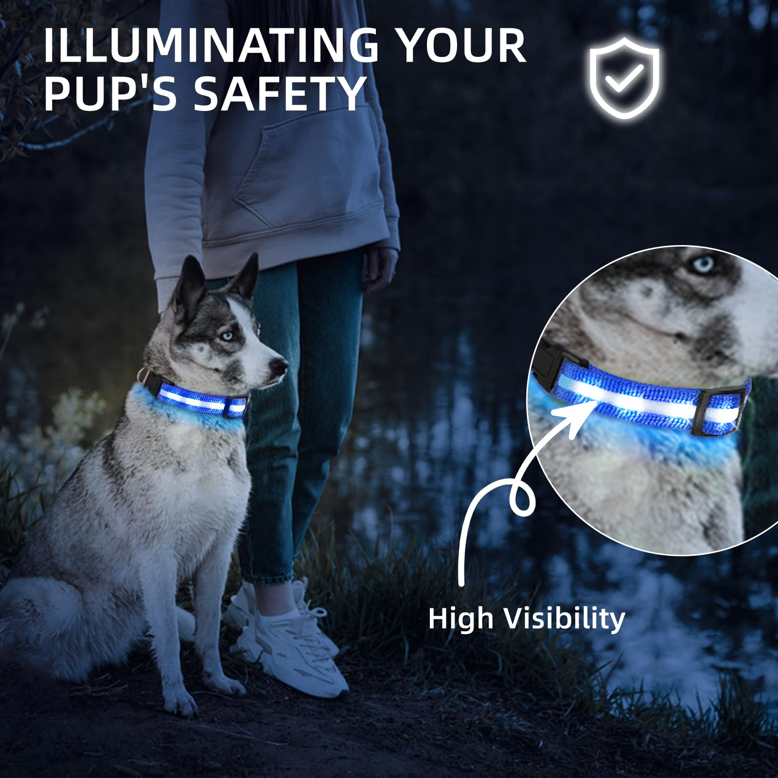 Petisay Light Up Dog Collar - High Visibility & Durable Nylon Material - Usb C Rechargeable & Waterproof Led Dog Collar For Nigh