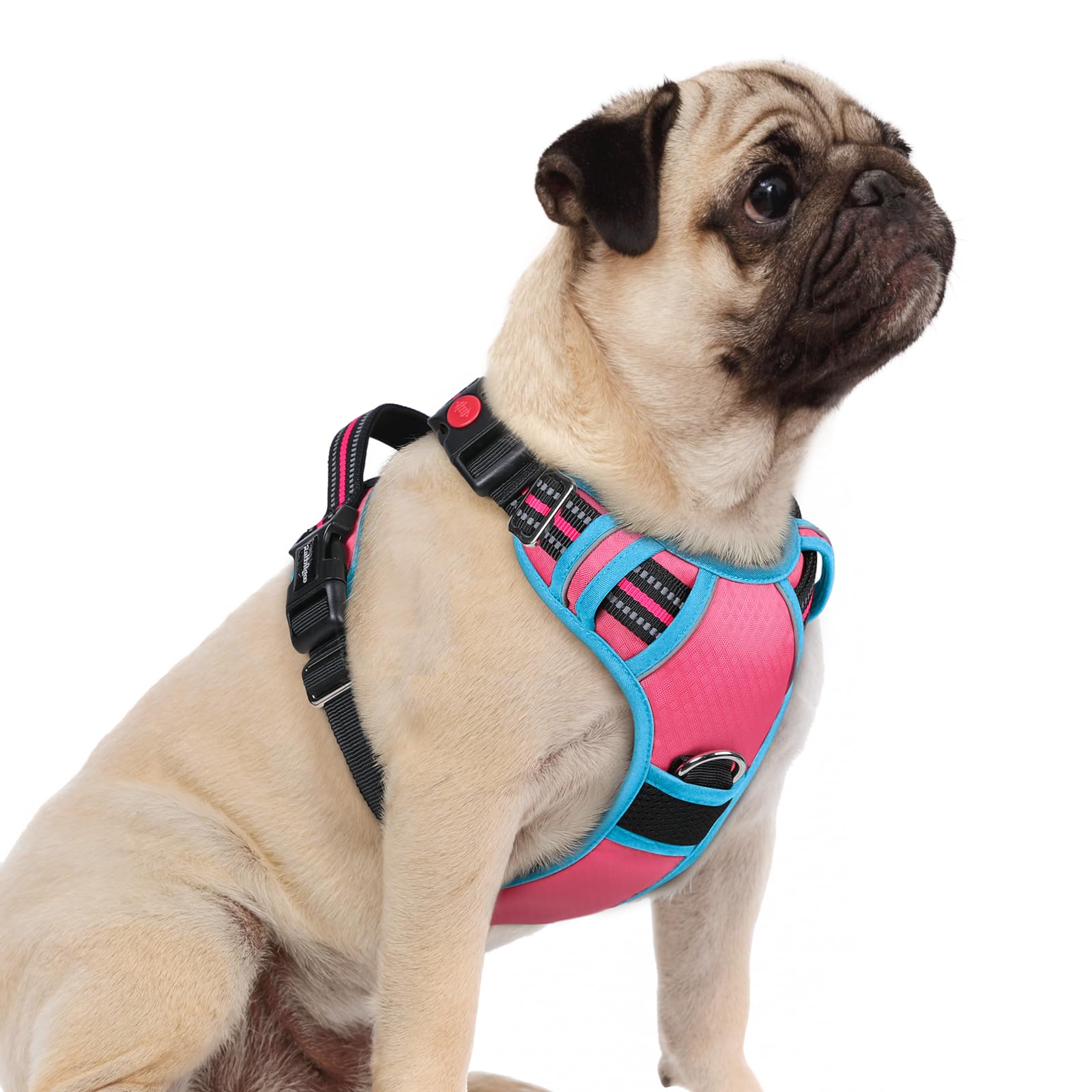 Rabbitgoo Dog Harness Small Sized, No Pull Dog Vest With 3 Buckles, Adjustable Soft Padded Pet Harness With Easy Control Handle 