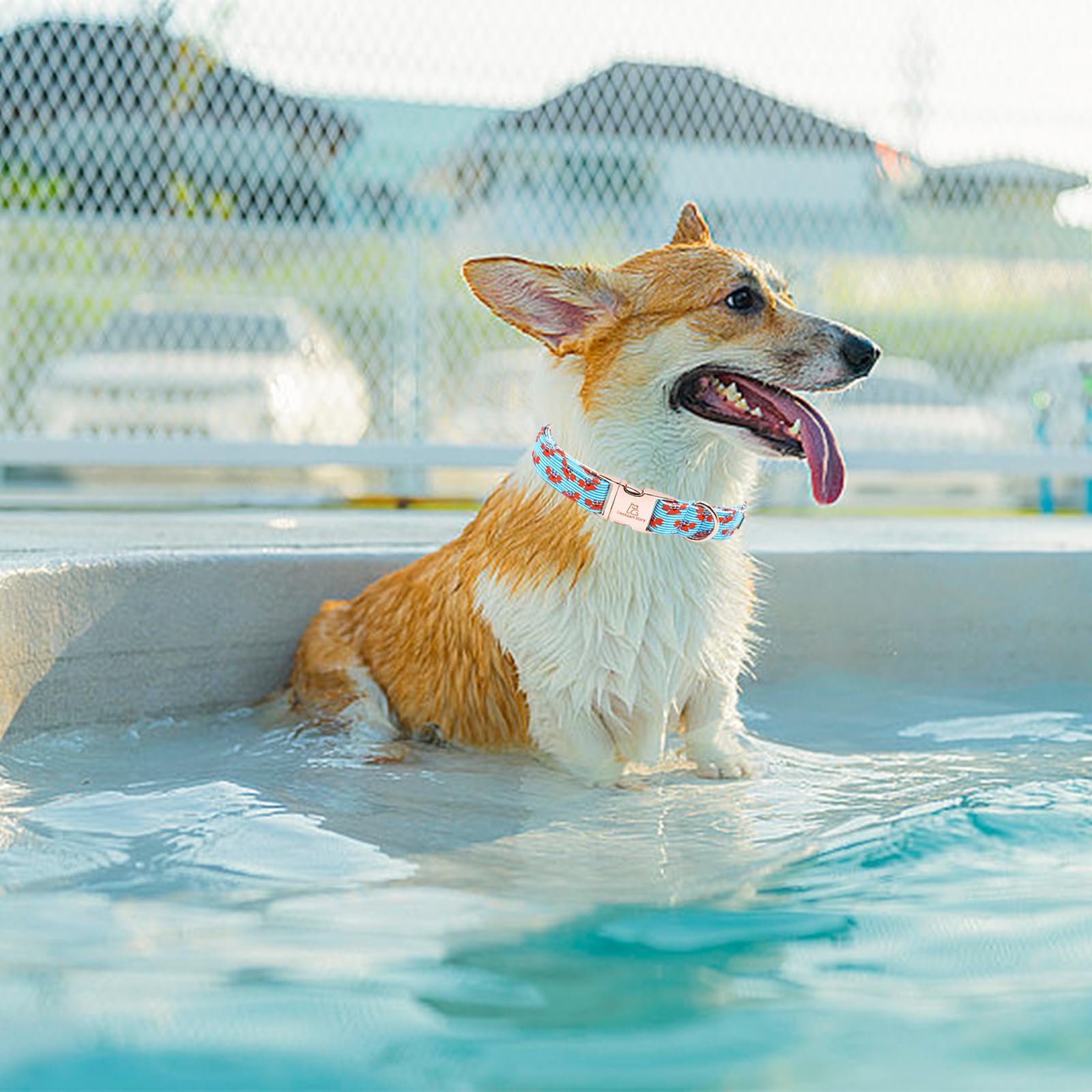 Lionheart Glory Dog Collar Blue Stripe Dog Collar For Large Dogs, Summer Boy Dog Collars Adjustable Duty Heavey Collar Collar Cu