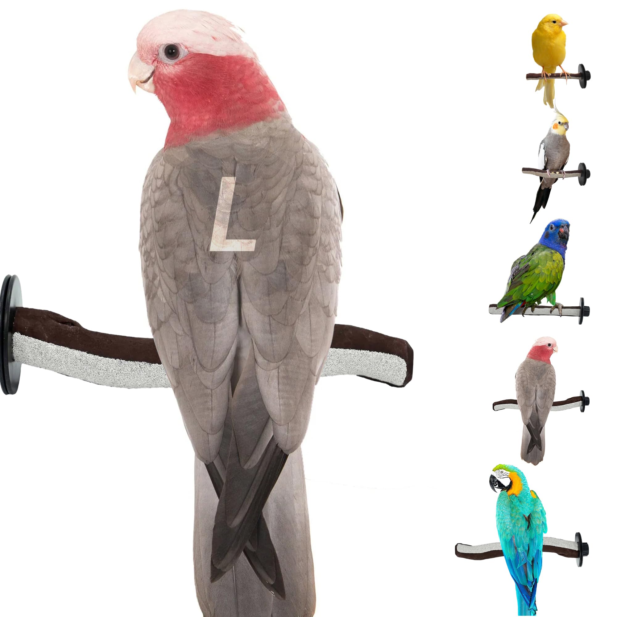 Sweet Feet And Beak Superoost Manzanita Pumice Pedicure Perch- Easy To Install Bird Cage Accessories For Healthy Feet, Nails And