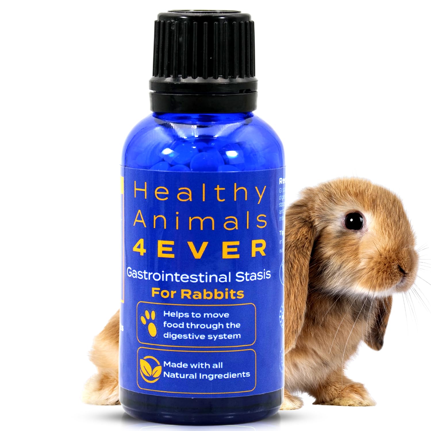 HA4E - Rabbit Gastrointestinal Stasis Treatment - Promotes Healthy Digestion & GI Stasis Relief -Natural Homeopathic Digestive H